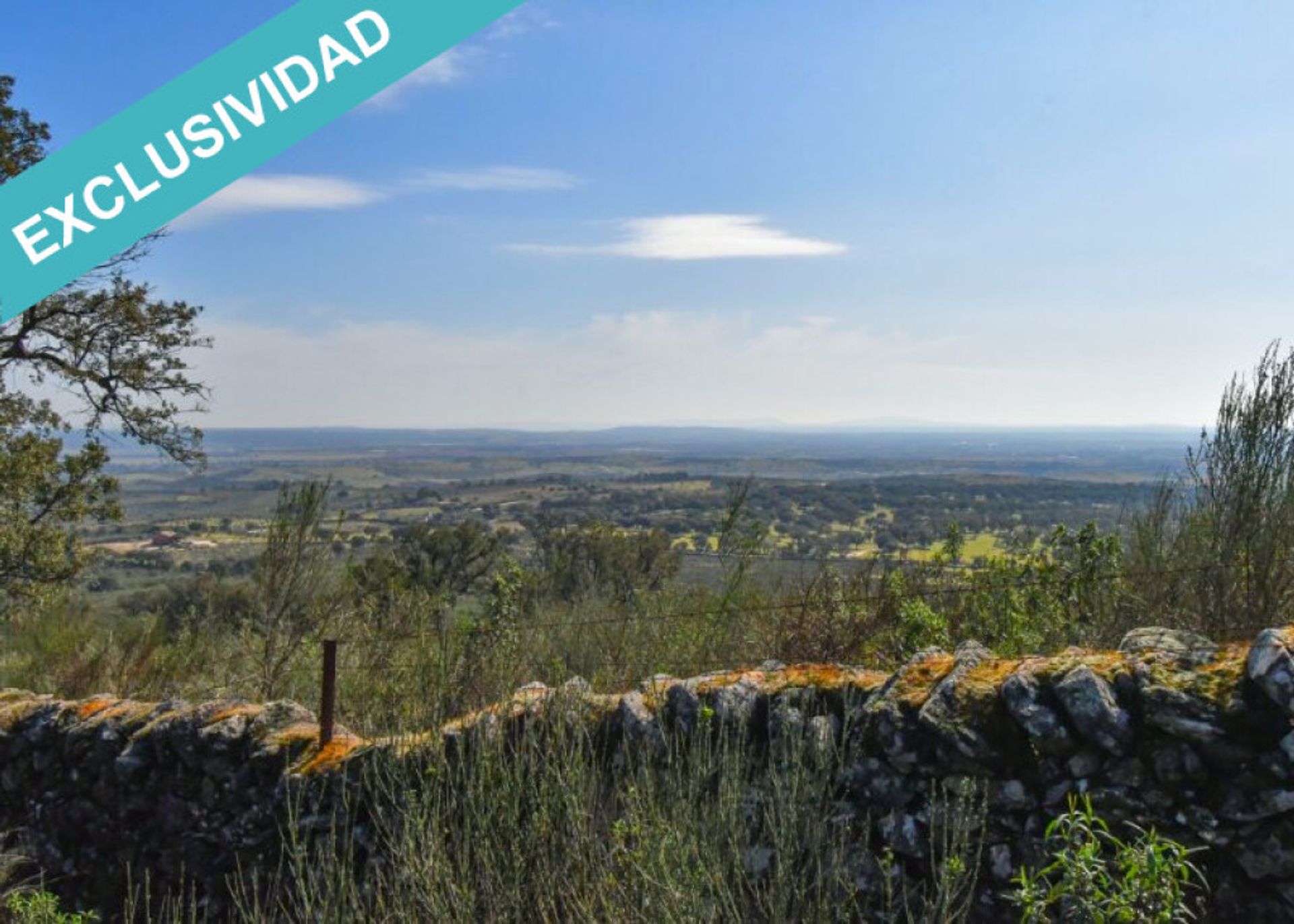 Tanah di Perales del Puerto, Extremadura 11528162