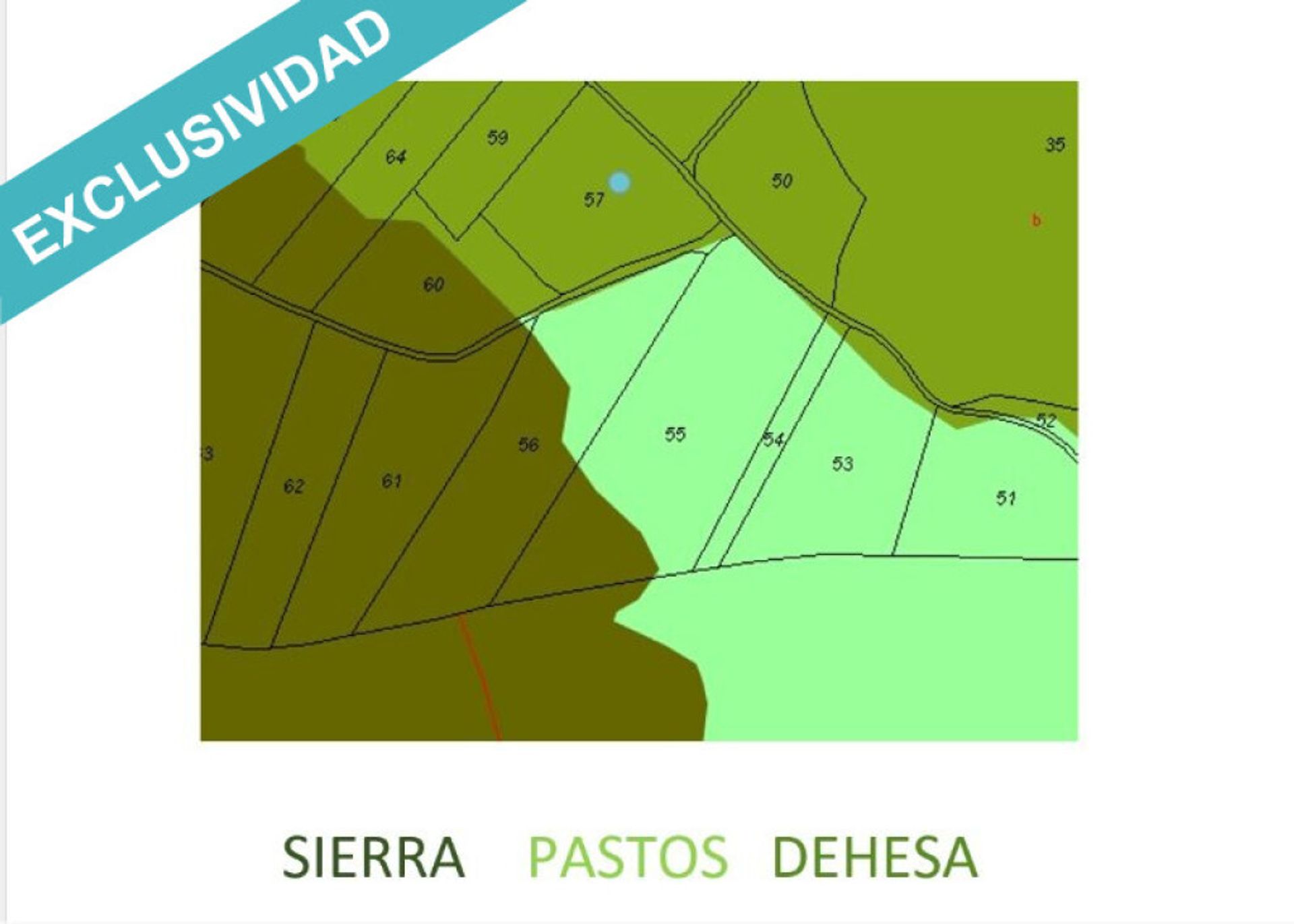 Terre dans Perales del Puerto, Extremadura 11528162