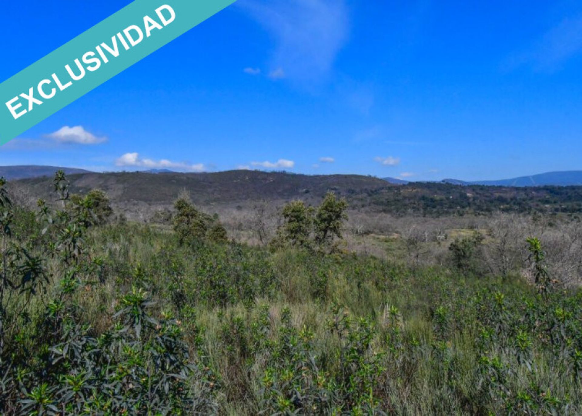 Tanah di Perales del Puerto, Extremadura 11528162