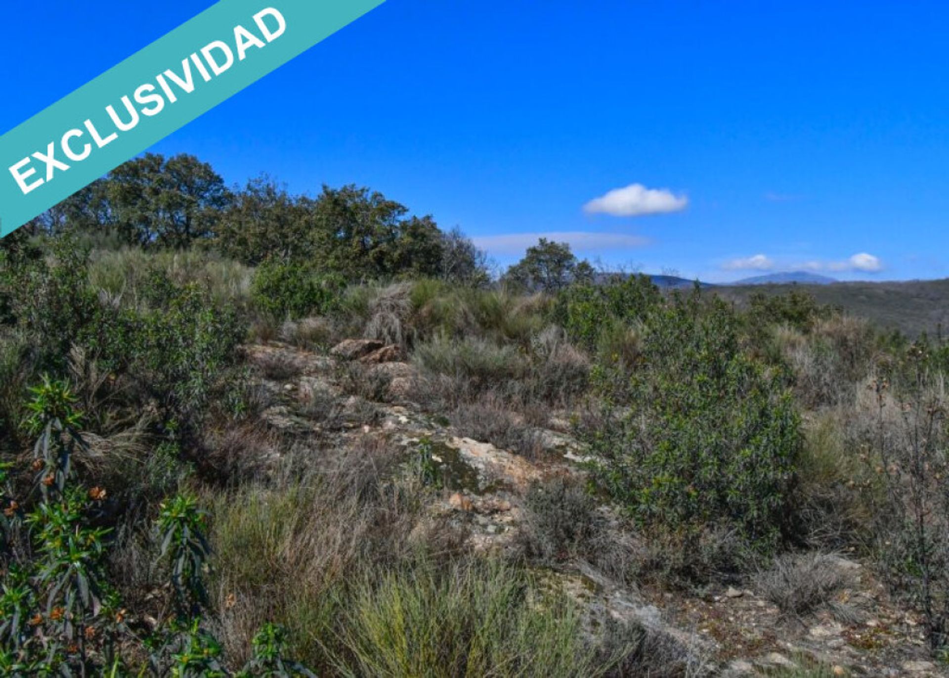 Tanah di Perales del Puerto, Extremadura 11528162