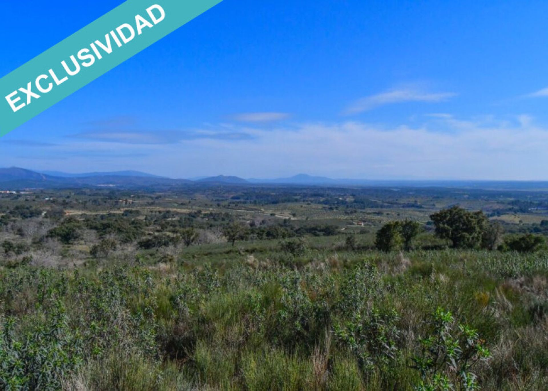 Land in Perales del Puerto, Extremadura 11528162