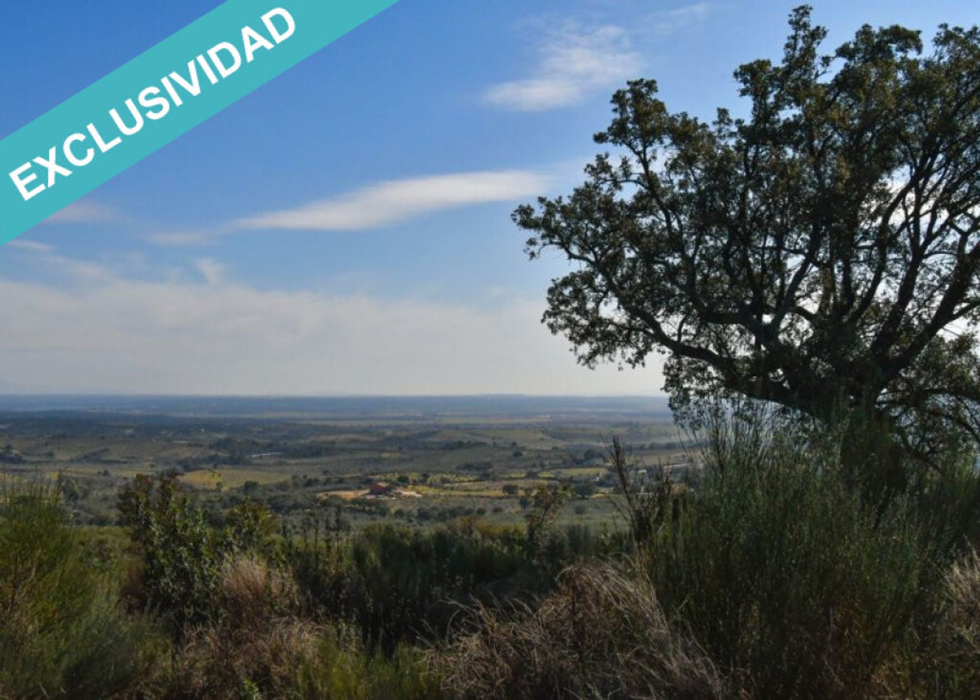 Tanah di Perales del Puerto, Extremadura 11528162