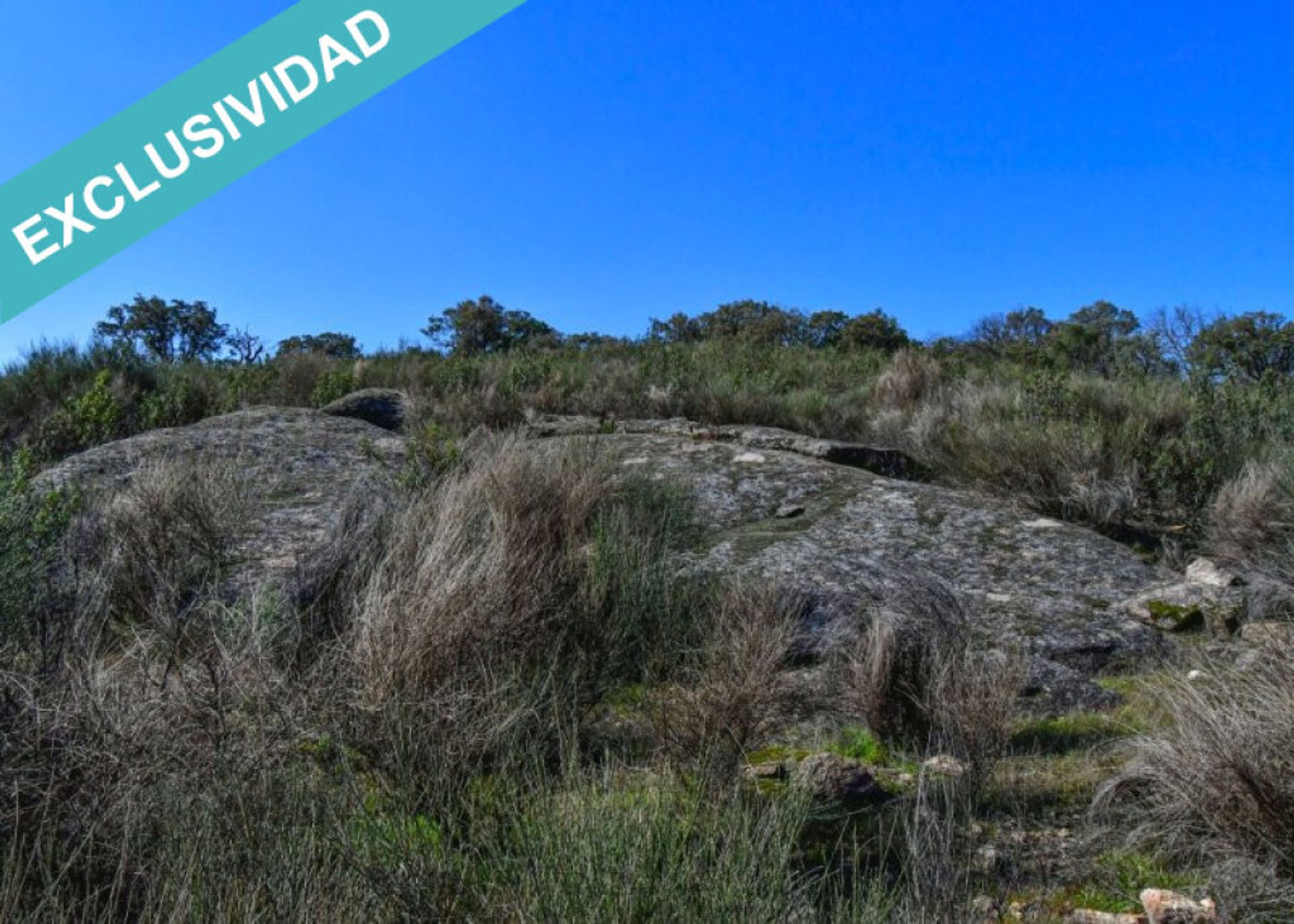 Land in Perales del Puerto, Extremadura 11528162