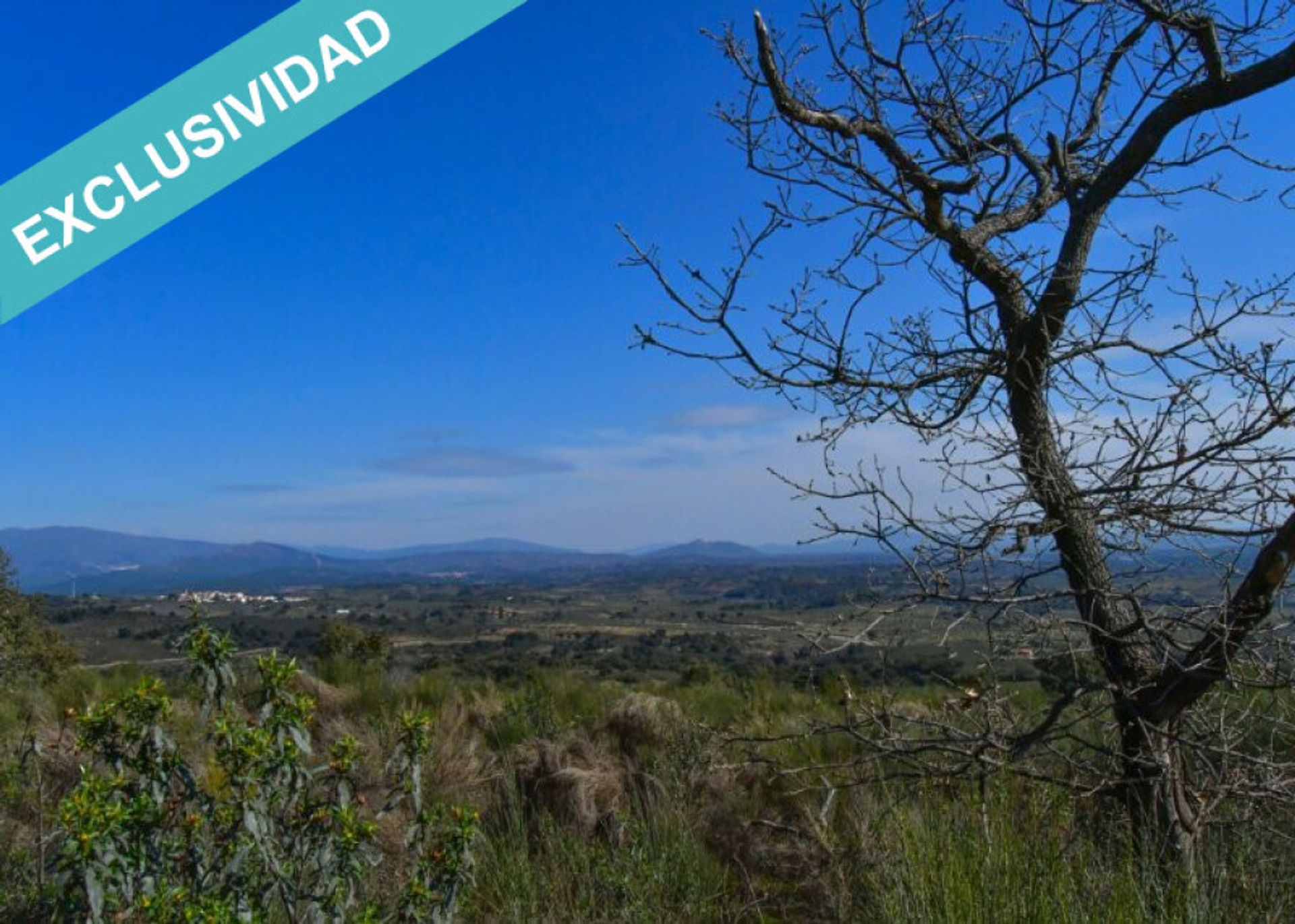 Tanah di Perales del Puerto, Extremadura 11528162