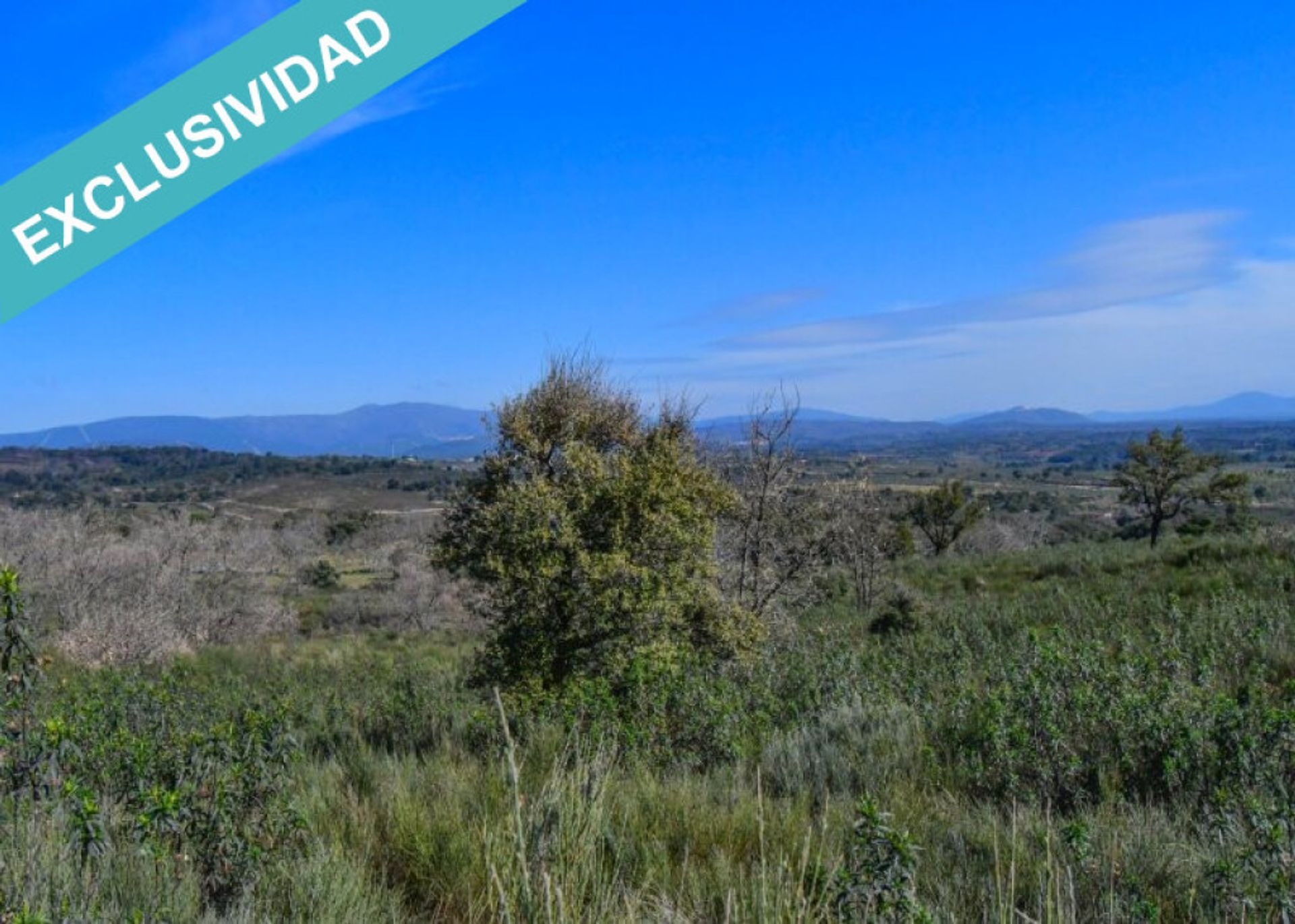 Land in Perales del Puerto, Extremadura 11528162