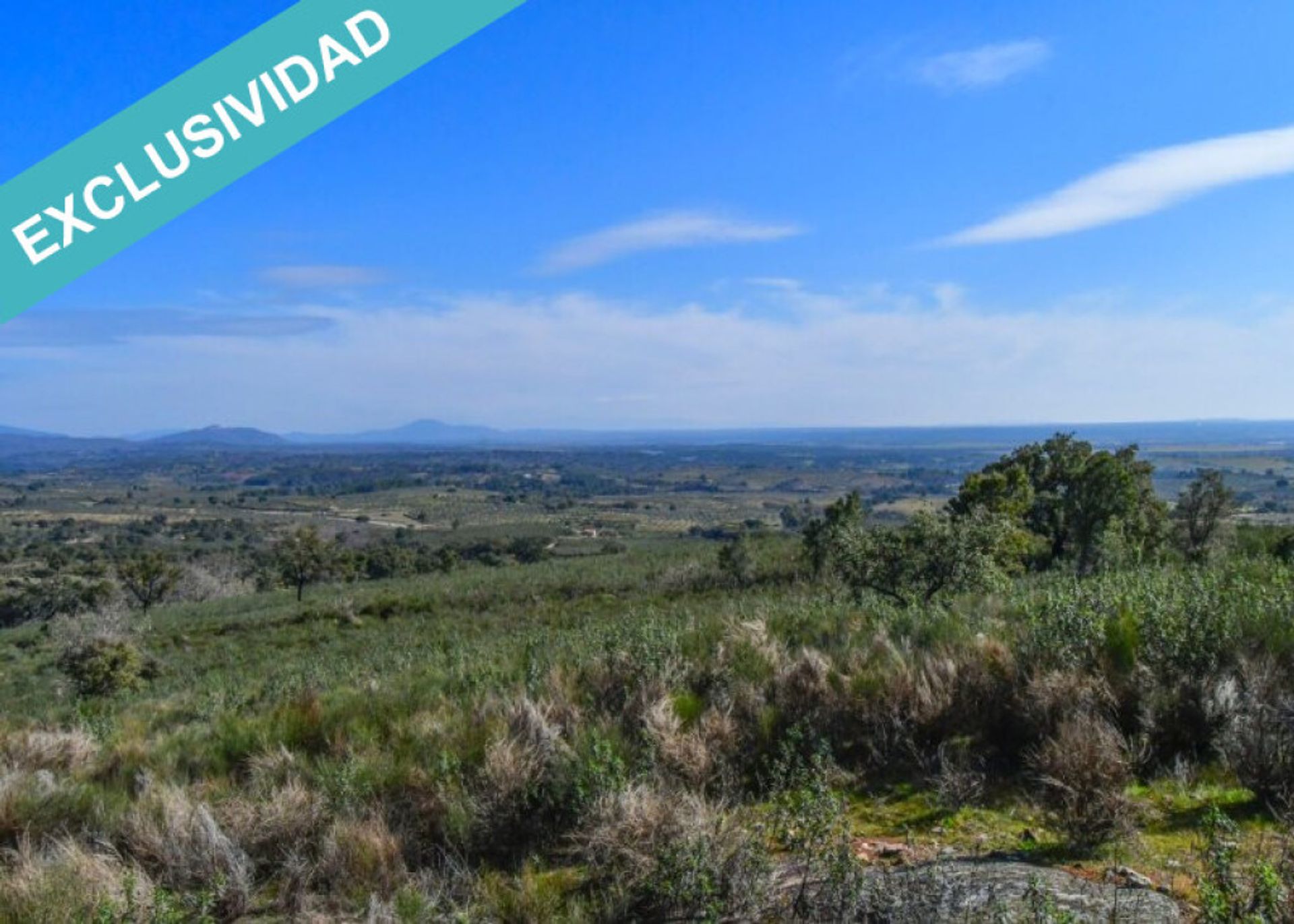 Tanah di Perales del Puerto, Extremadura 11528162