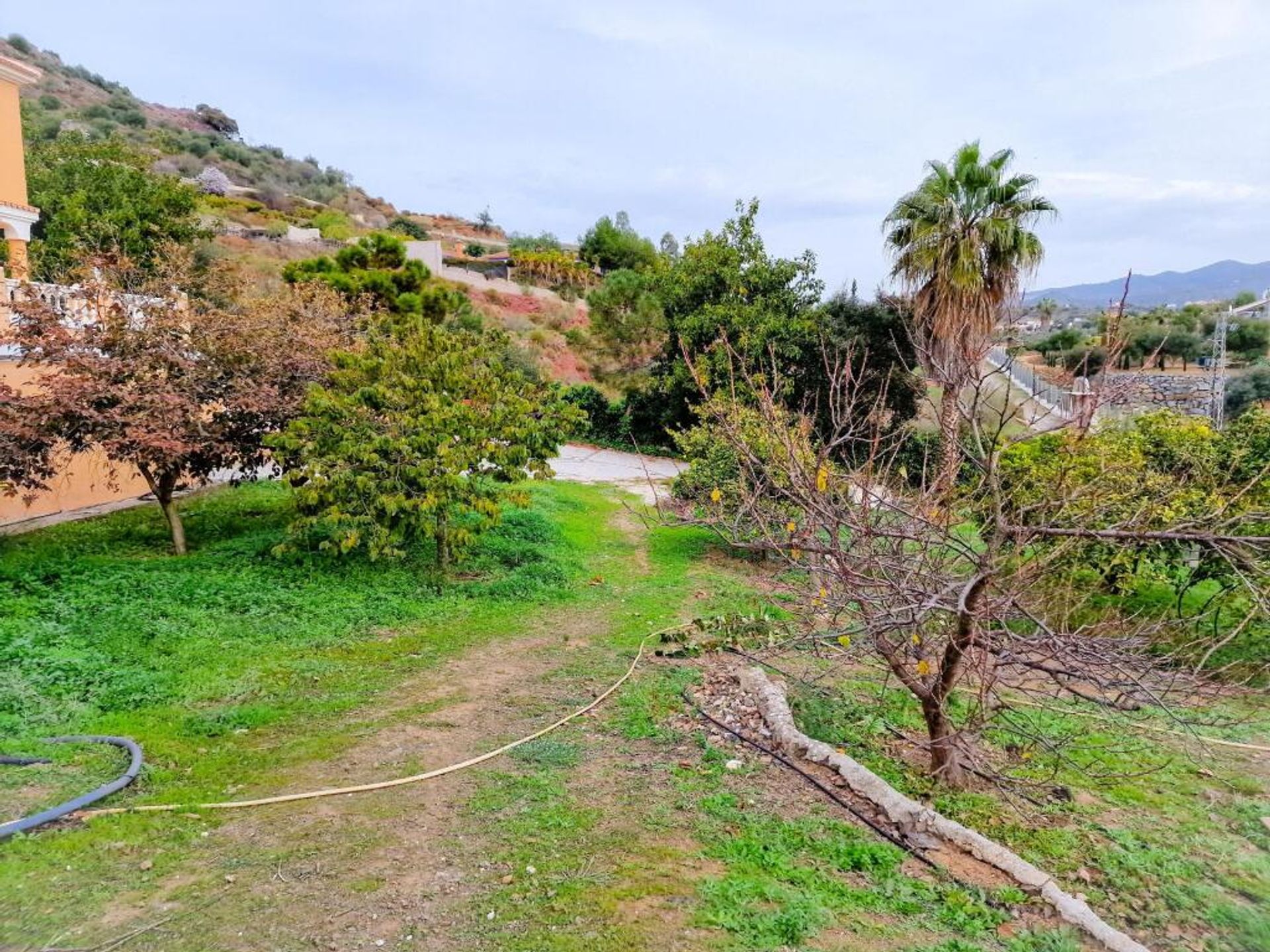 casa en Almogía, Andalucía 11528171