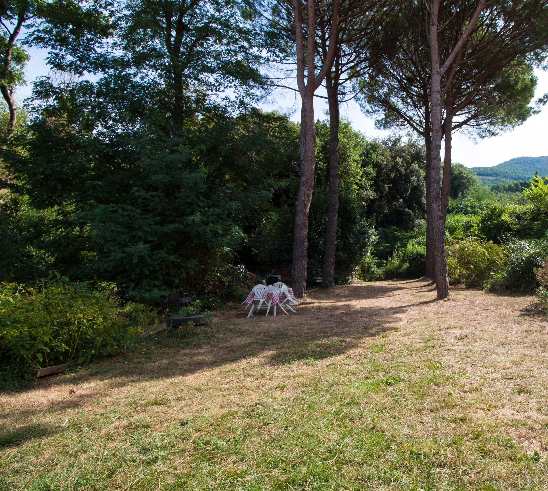 Hus i Calci, Toscana 11528733