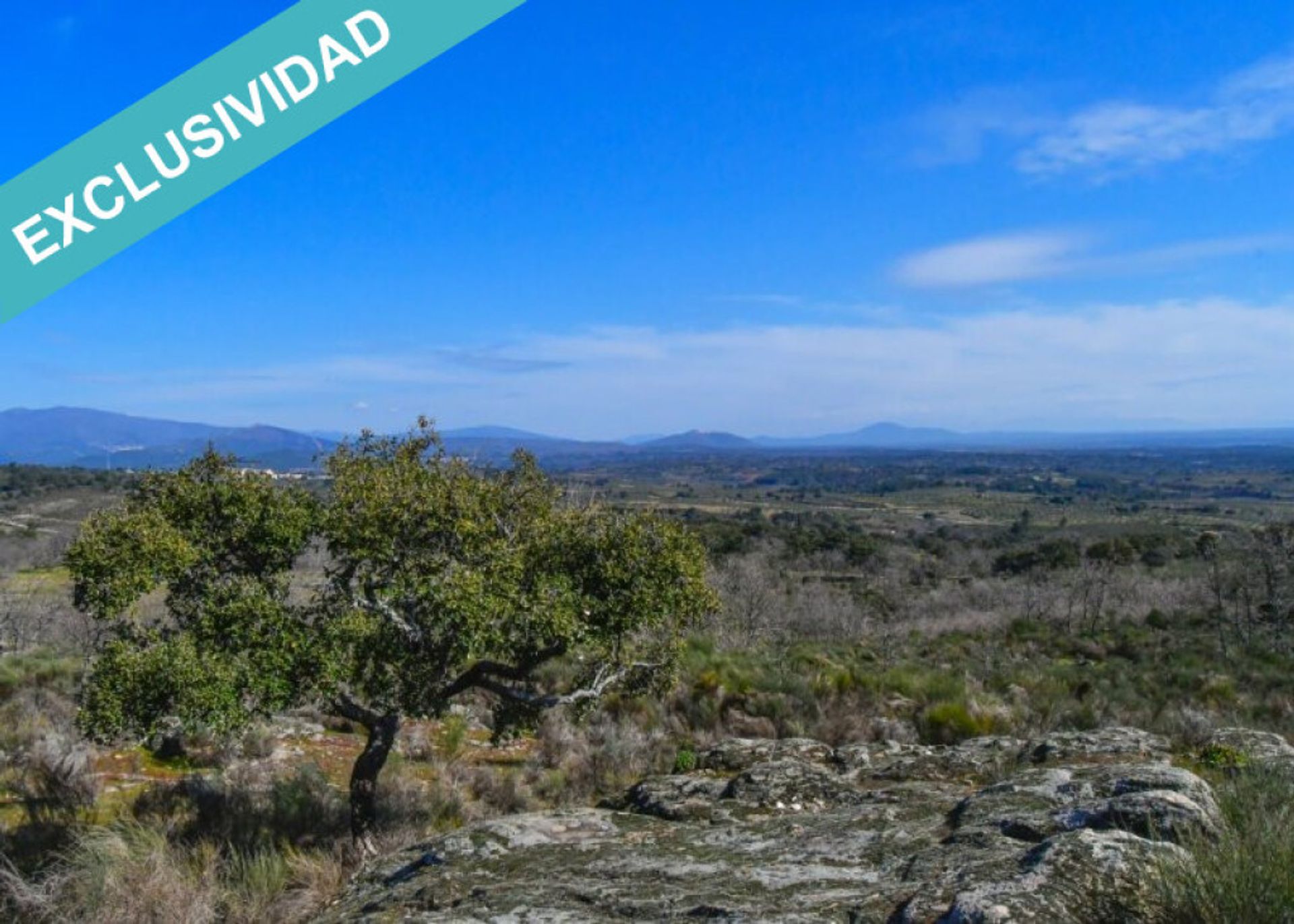 Tierra en Perales del Puerto, Extremadura 11528892