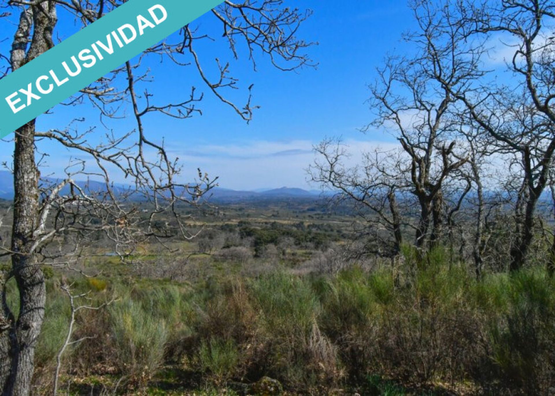 Tanah di Perales del Puerto, Extremadura 11528892