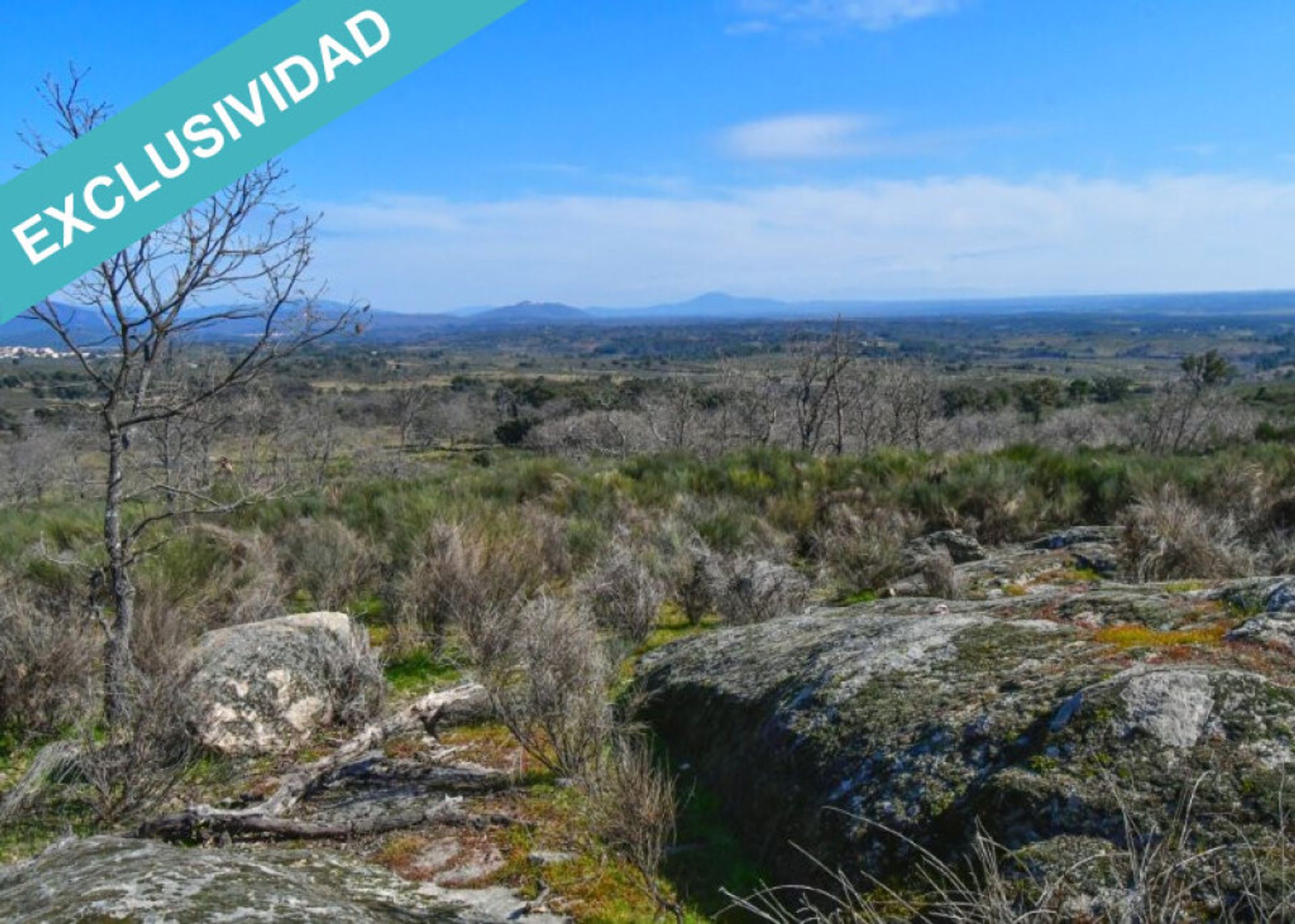 Tanah di Perales del Puerto, Extremadura 11528892