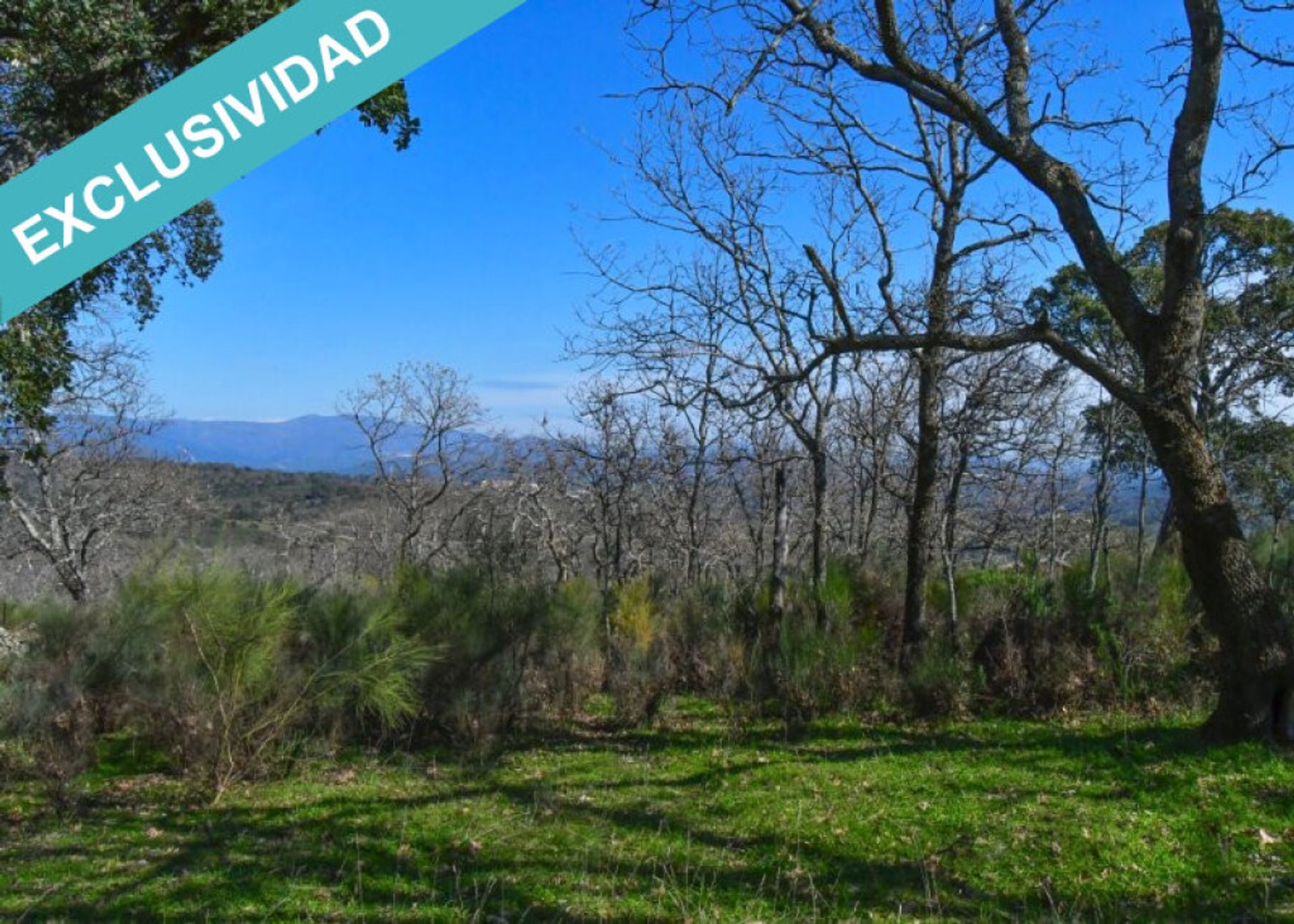 Tanah dalam Perales del Puerto, Extremadura 11528892