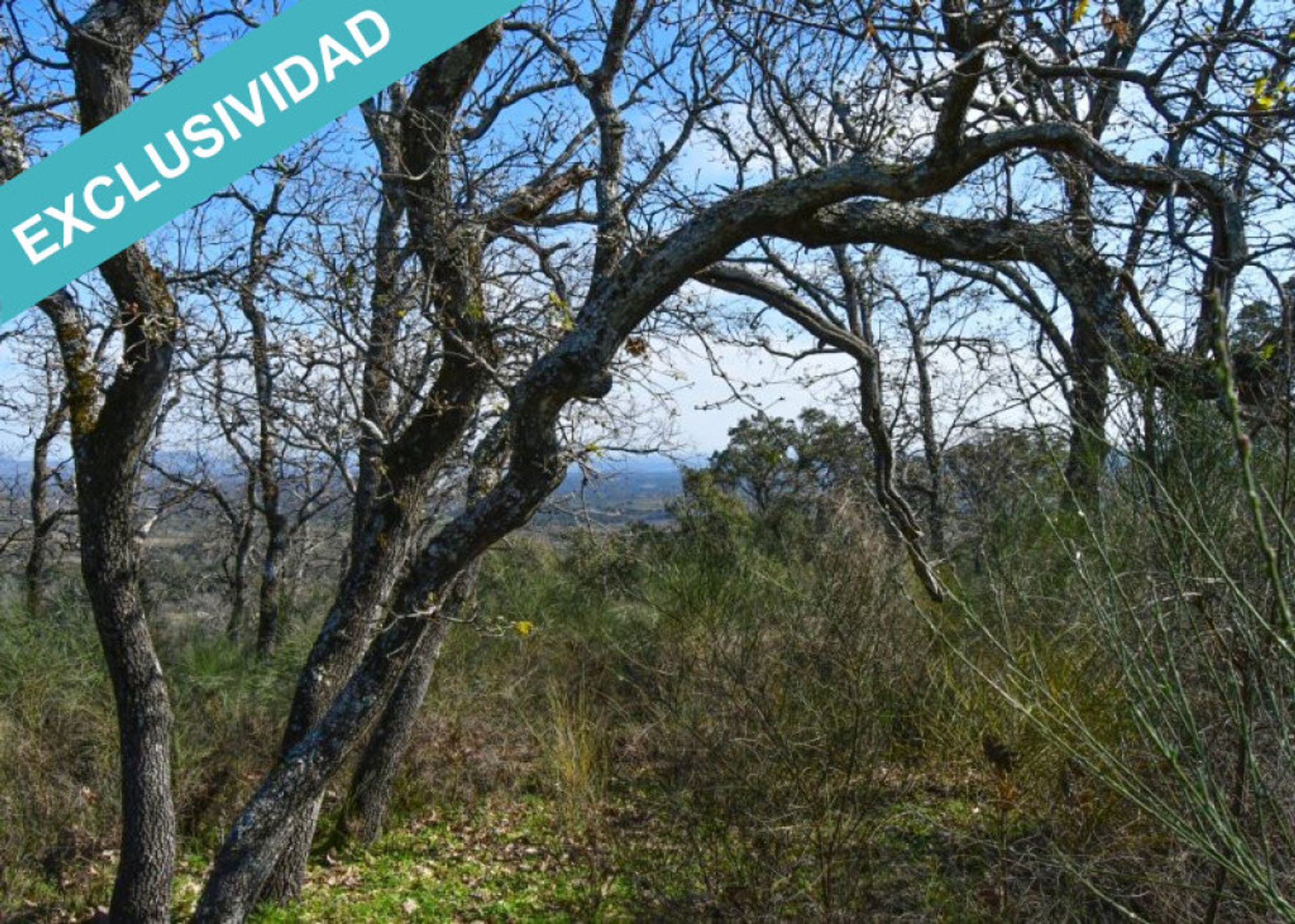 Tanah di Perales del Puerto, Extremadura 11528892