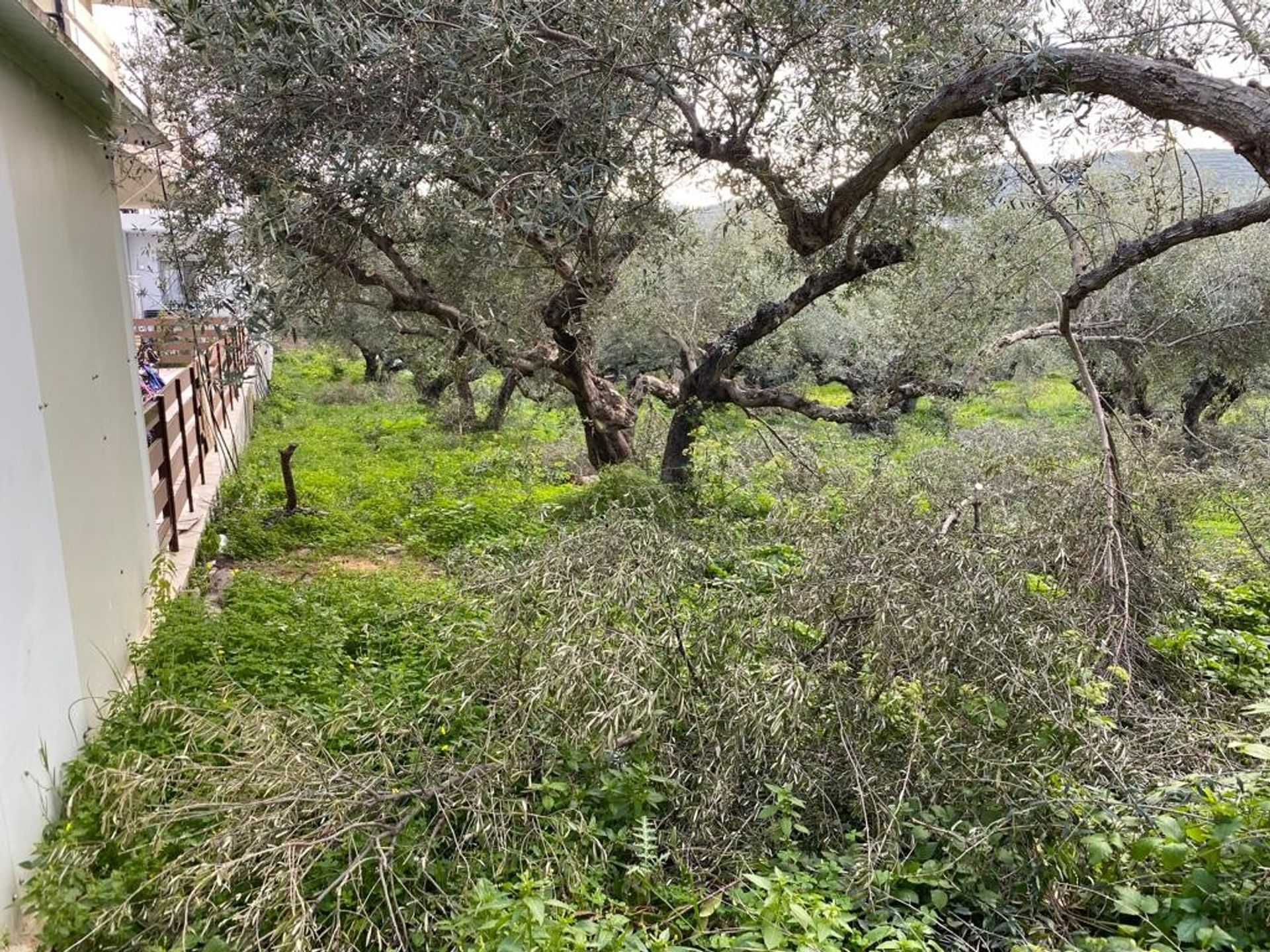 Land in Kissamos, Kriti 11529613