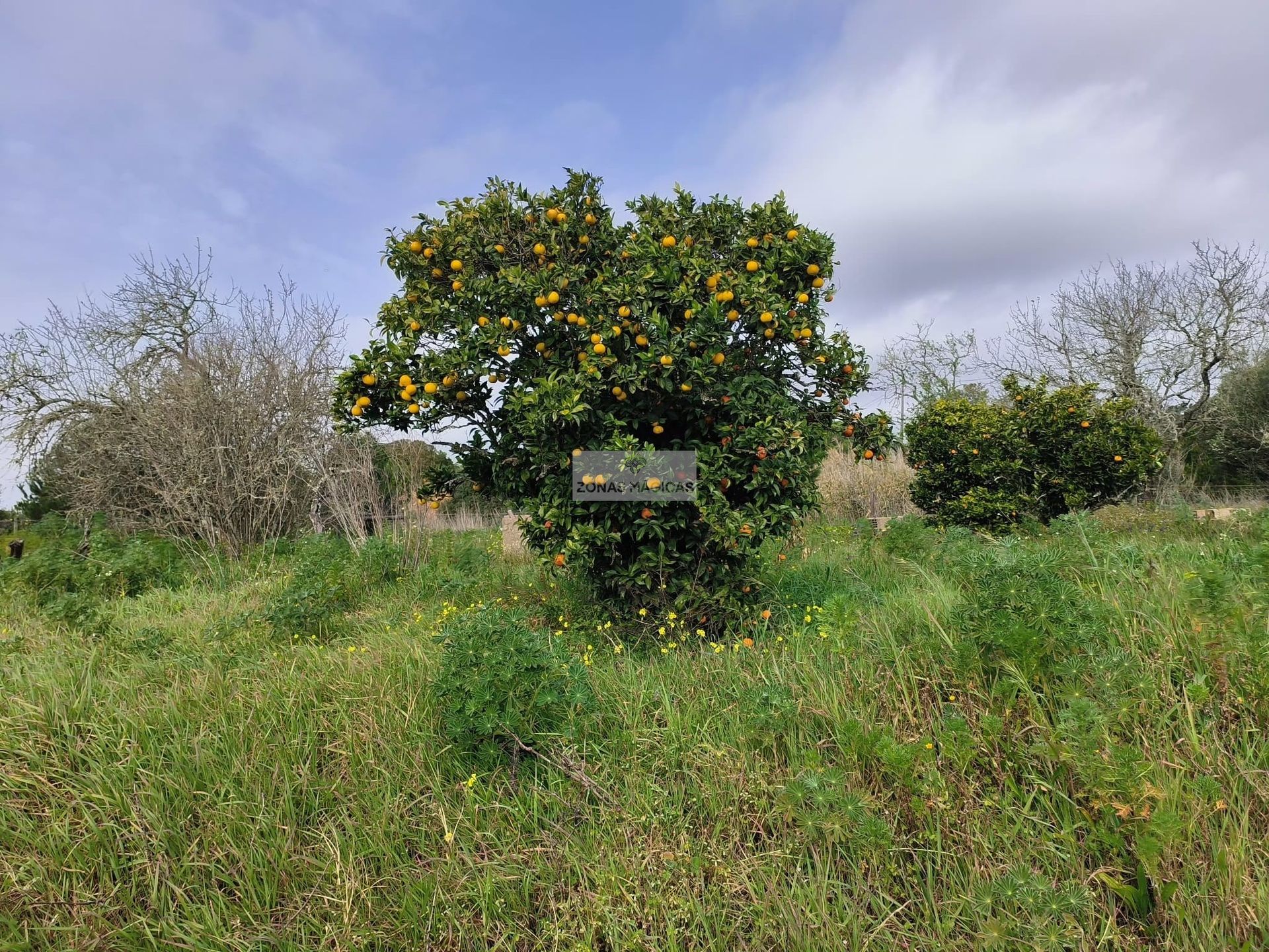 土地 在 Lagos, Faro District 11529829