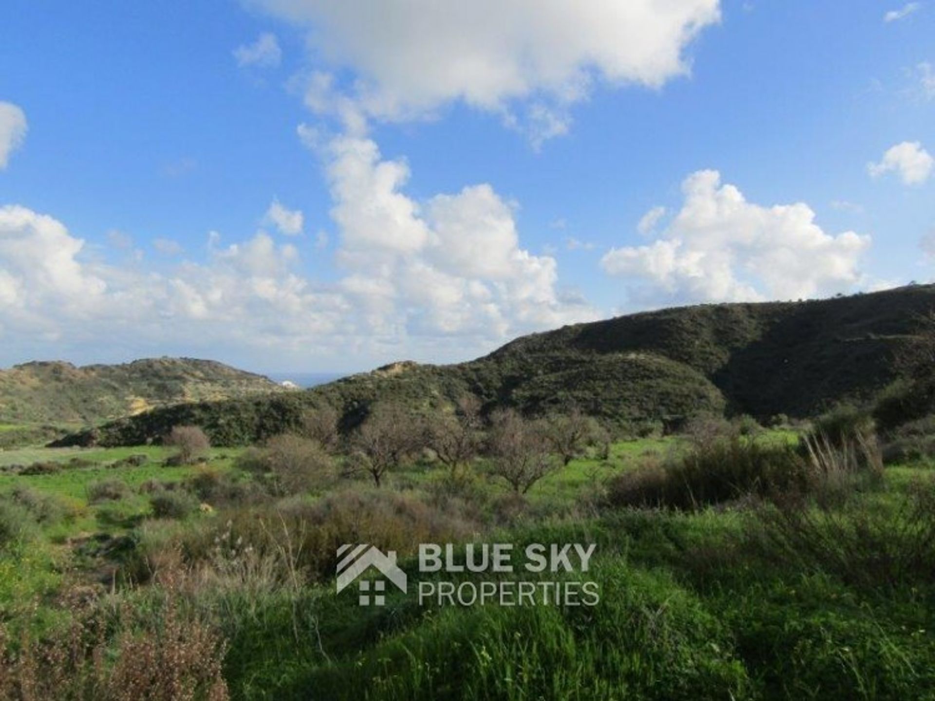 Land i Pissouri, Limassol 11529892