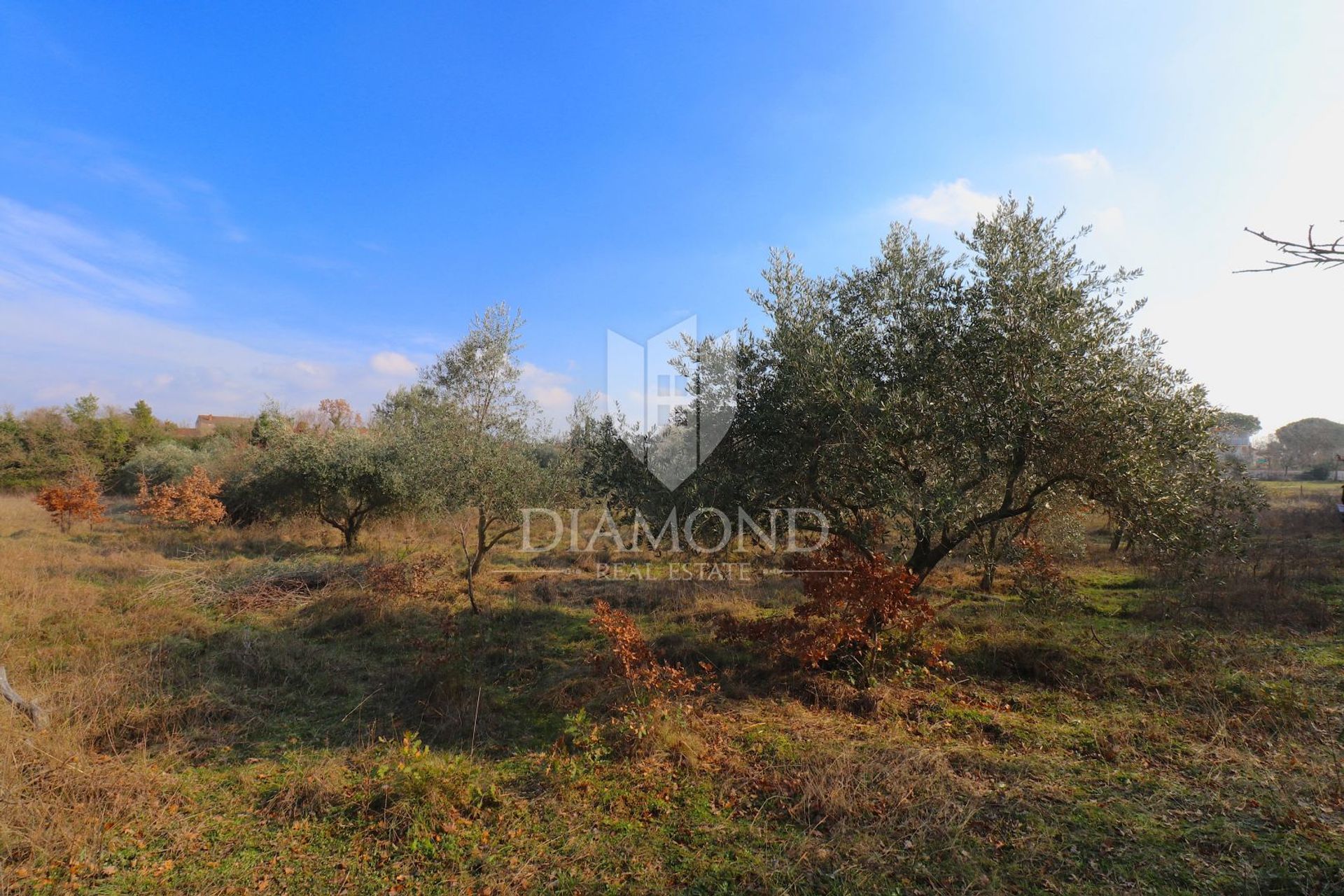 Land i Barban, Istria County 11530619