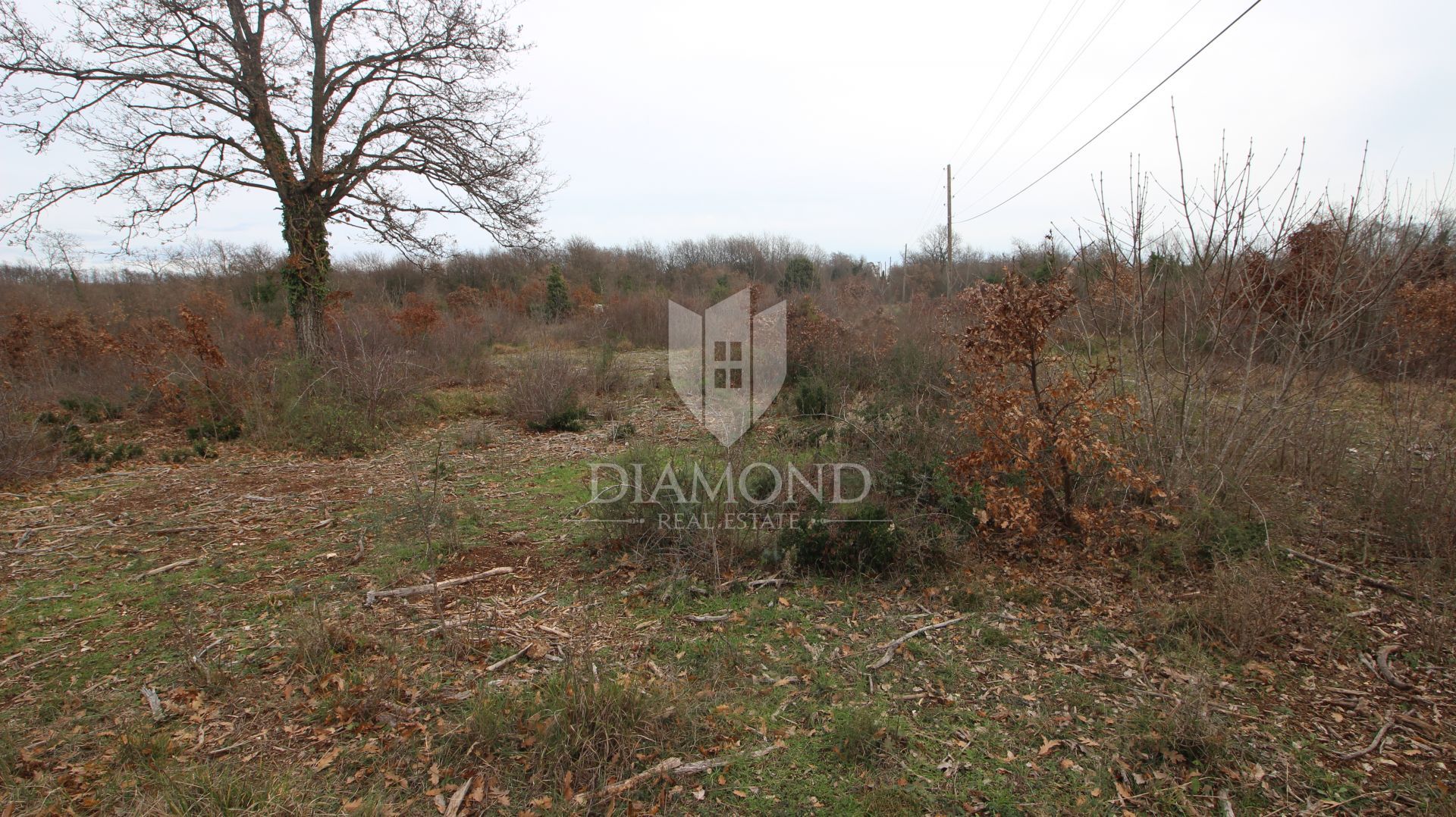 Land in Svetvinčenat, Istria County 11530670