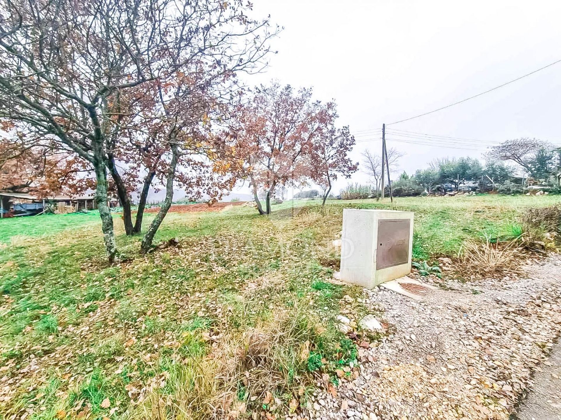 土地 在 波雷奇, 伊斯塔斯卡·祖帕尼亚 11530814