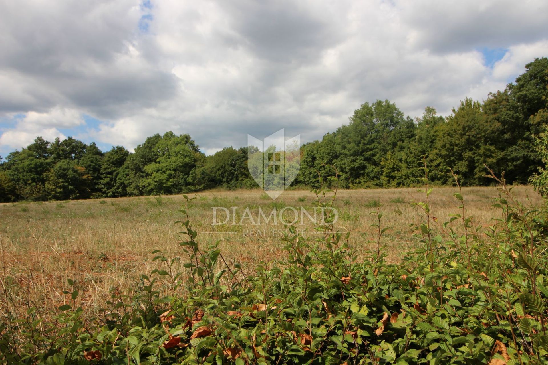 Land in Barban, Istria County 11531467