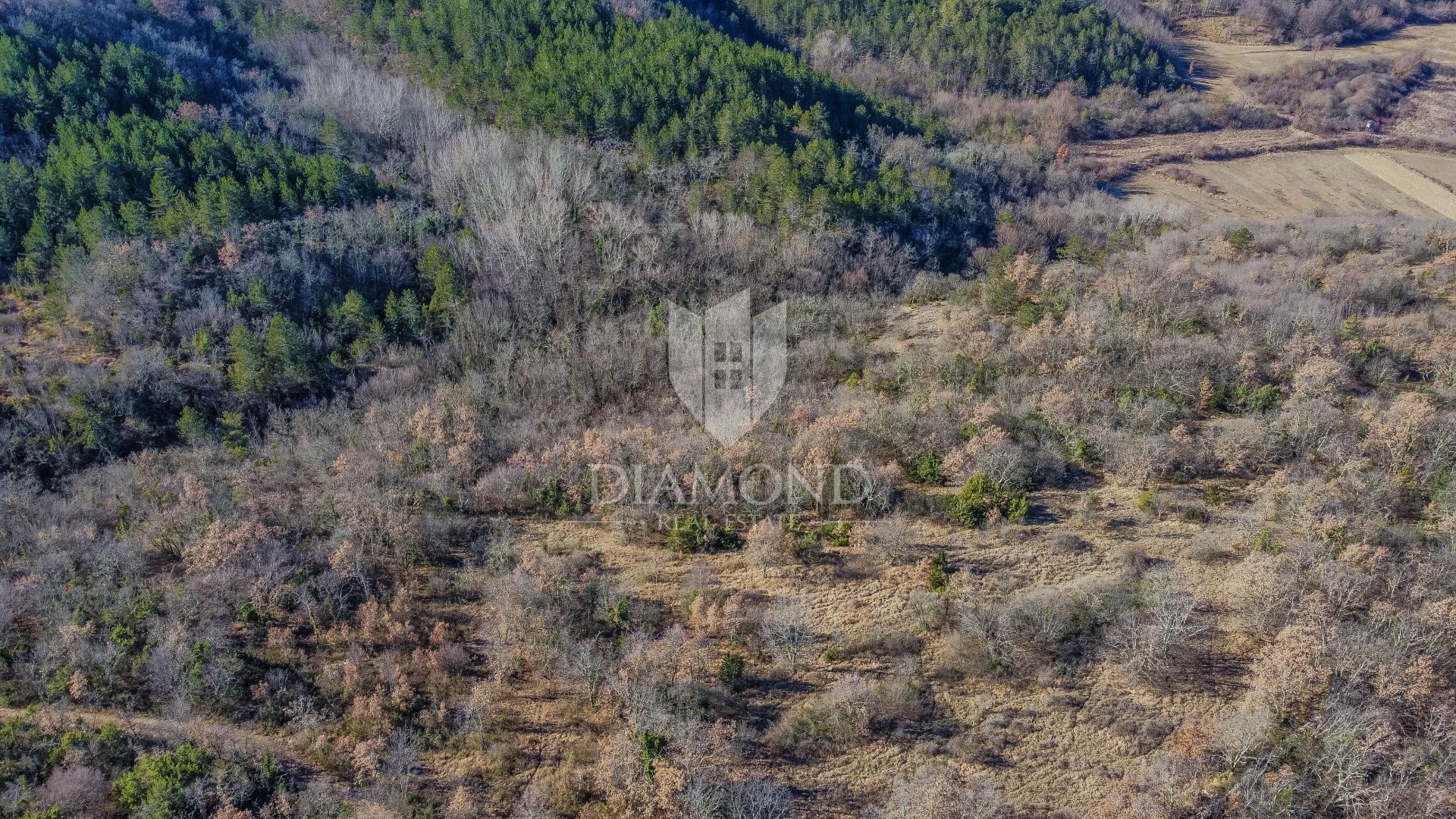 Tierra en Groznjan, Istarska Županija 11531986