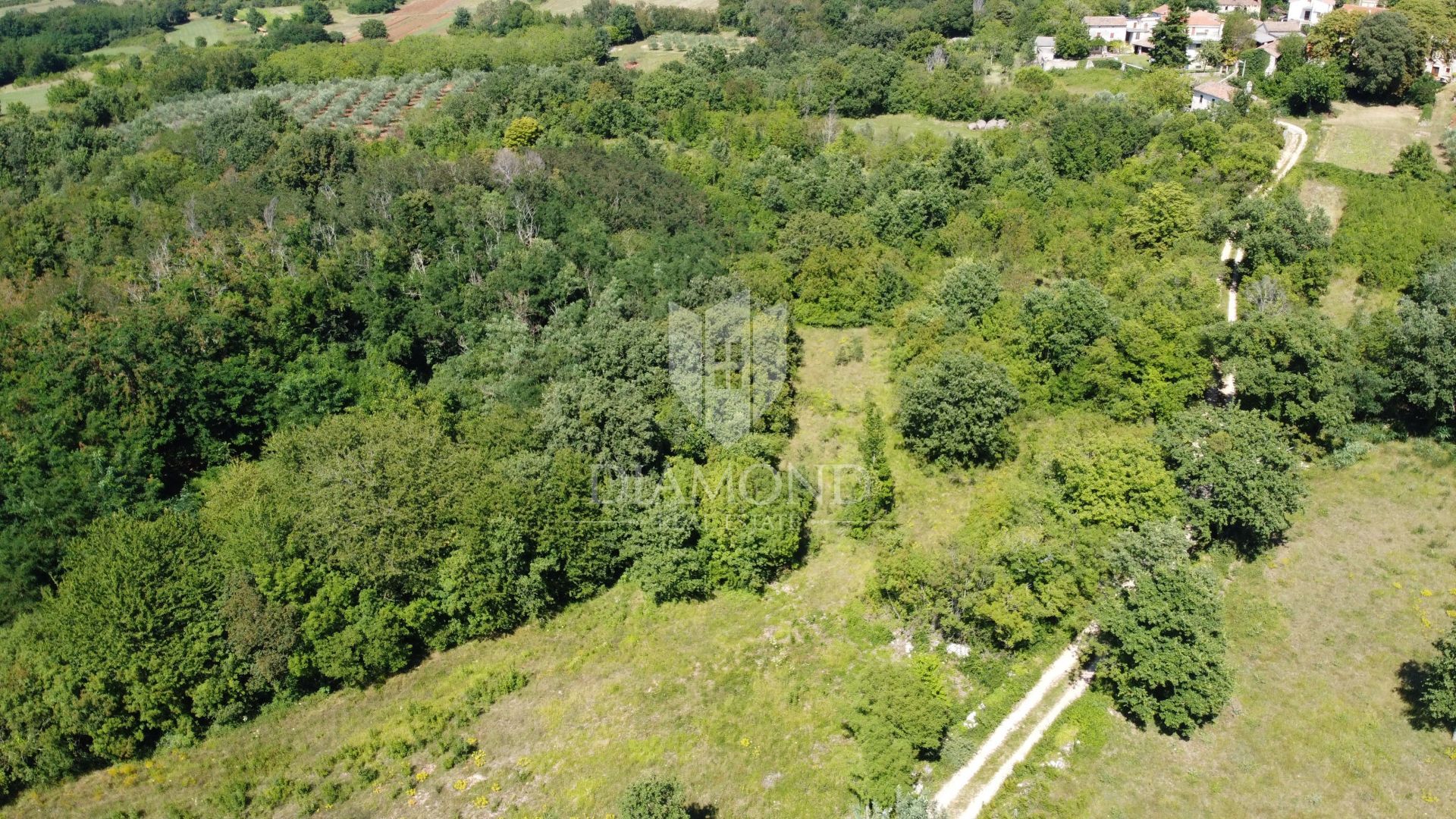 Land in Baderna, Istria County 11532343