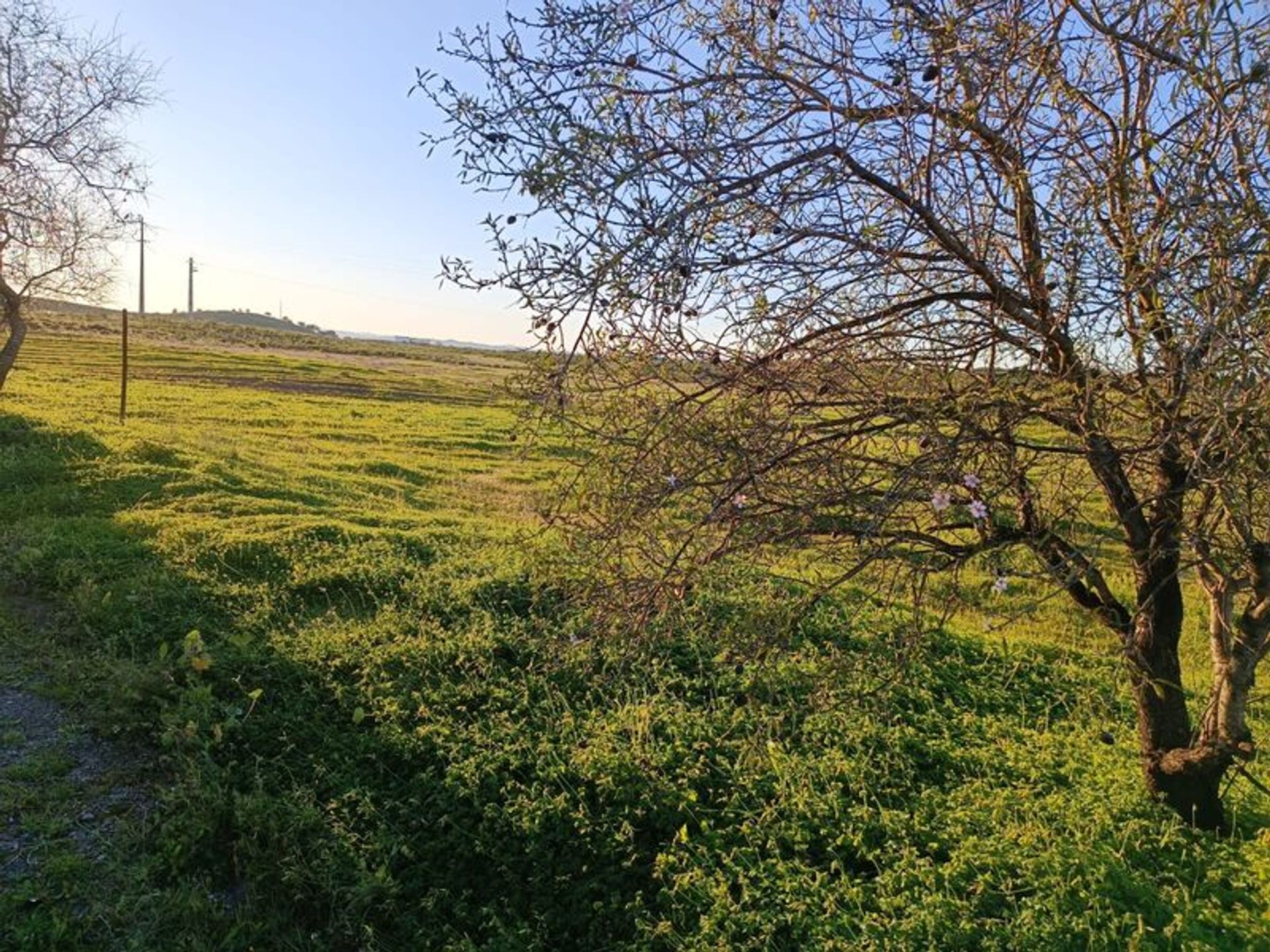 Land in Castro Marim, Faro District 11534555