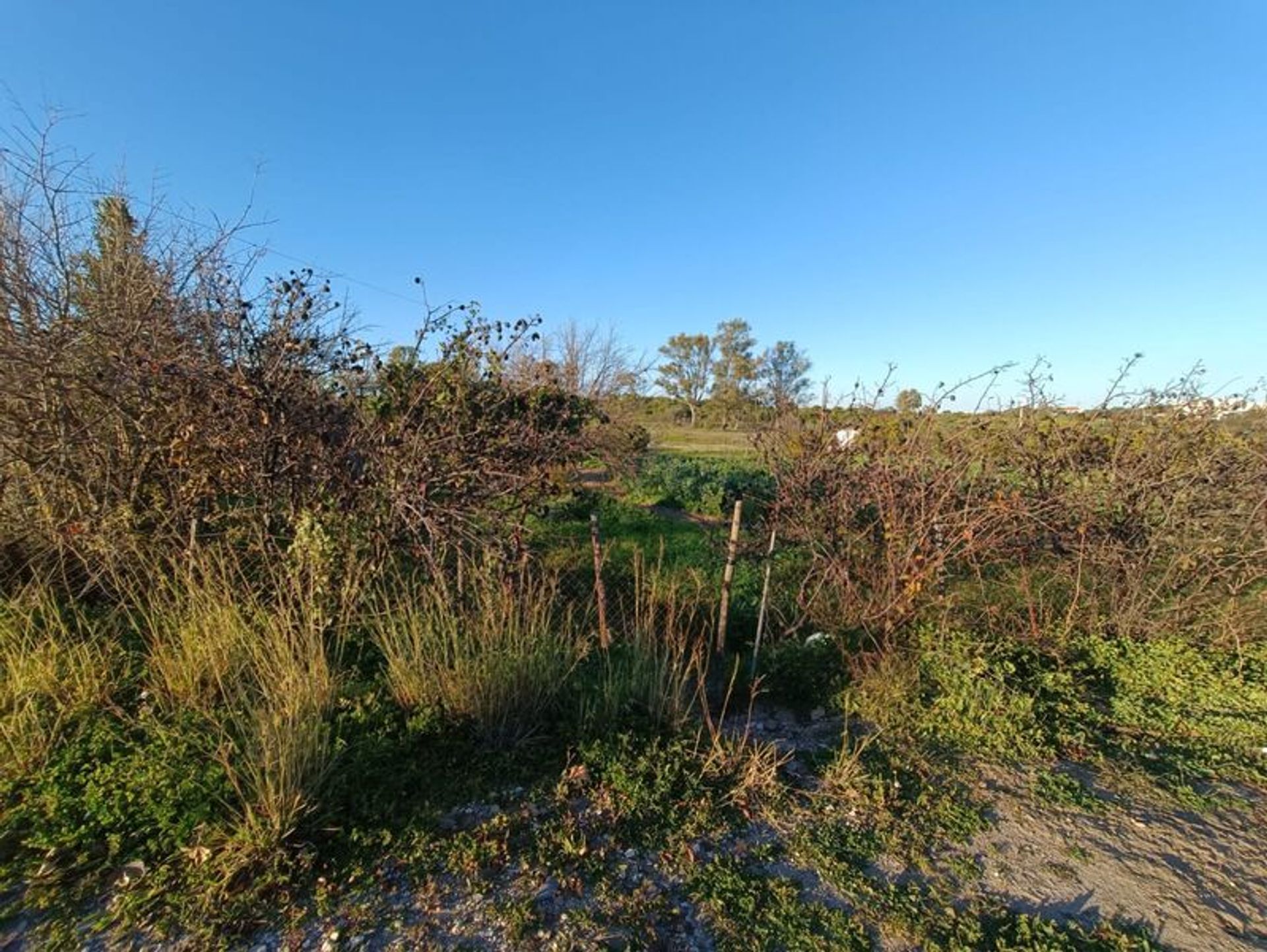 土地 在 馬林卡斯特羅, 法魯 11534558