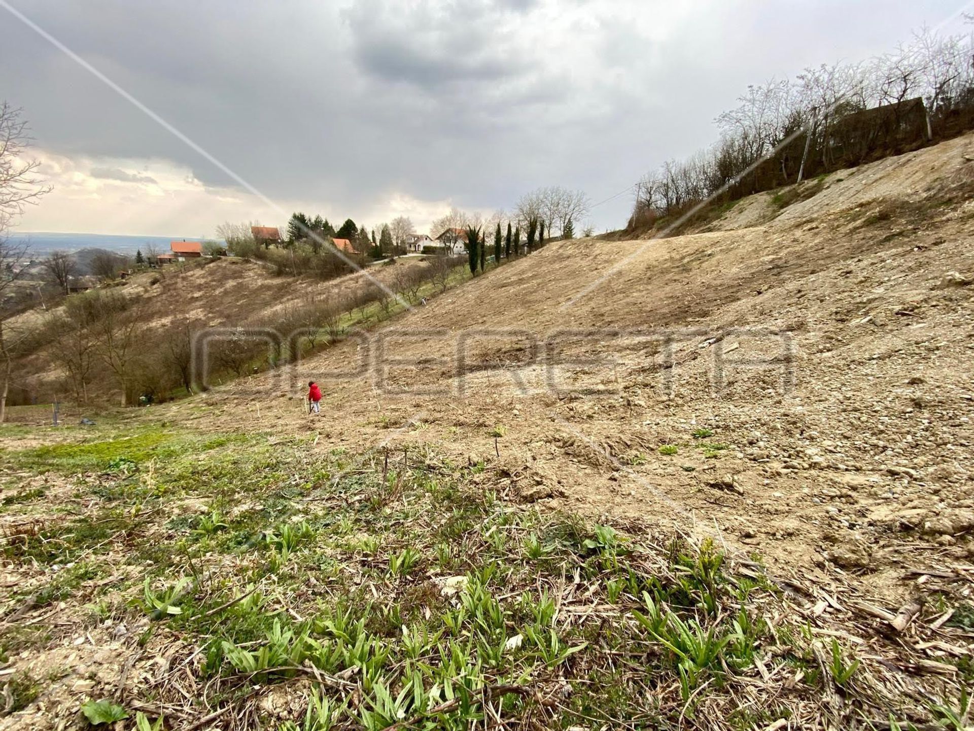 Terra no Sveta Nedjelja, Zagrebacka Zupanija 11534610