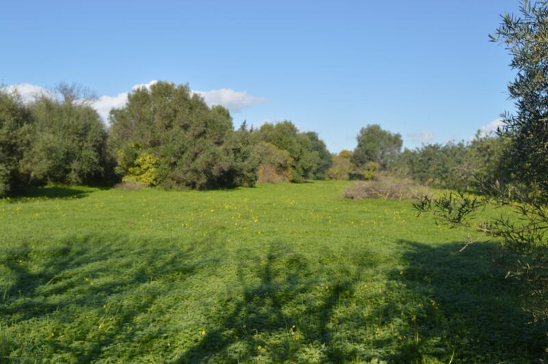 Casa nel Tavira, Faro District 11534793