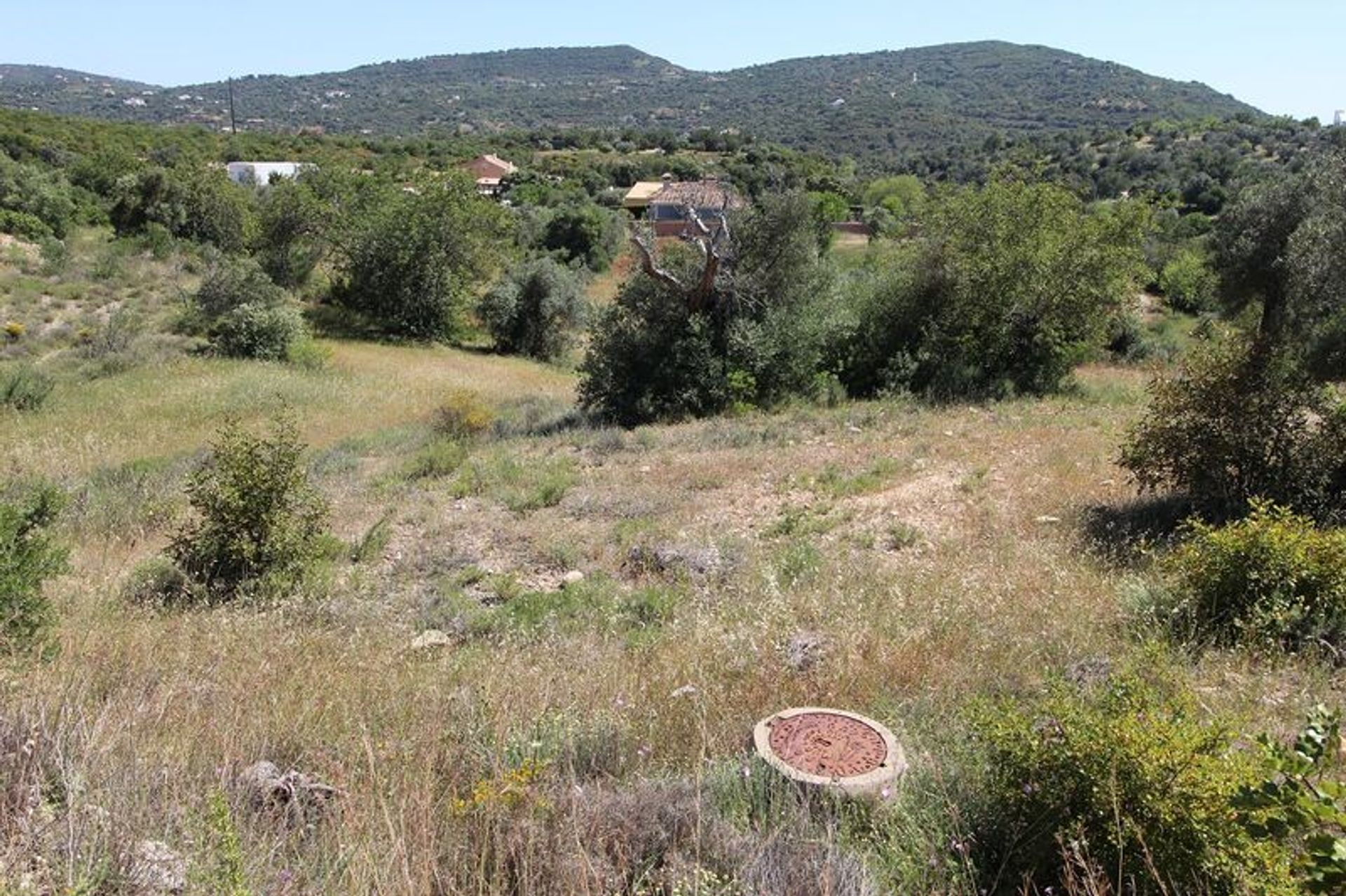 Terra no São Brás de Alportel, Faro District 11534847