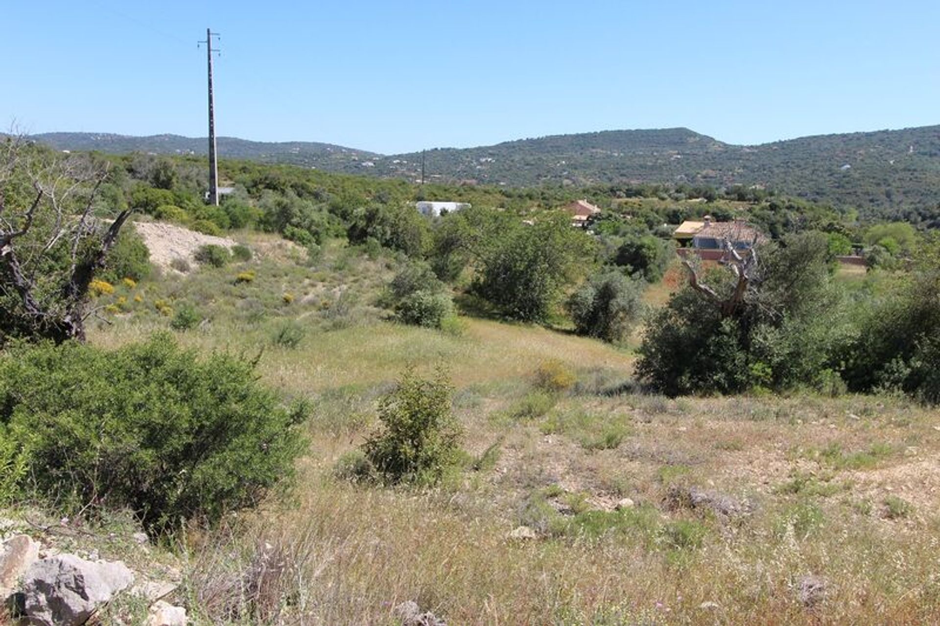 Terra no São Brás de Alportel, Faro District 11534847