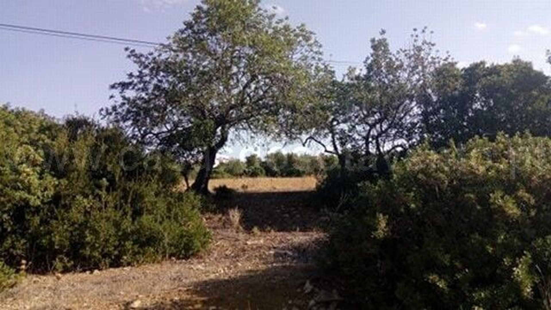 Land i Faro, Faro District 11534848