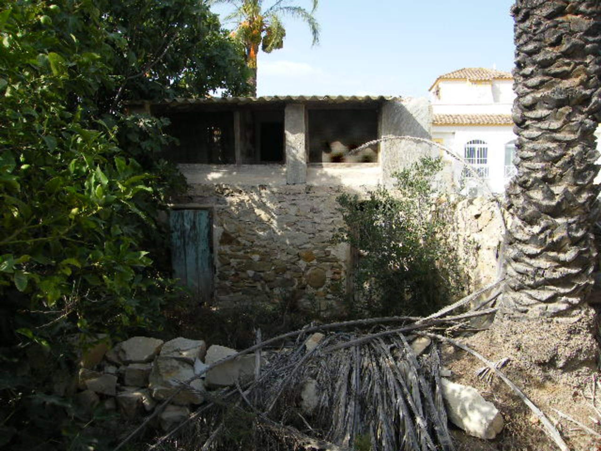 Haus im Torremendo, Comunidad Valenciana 11534887