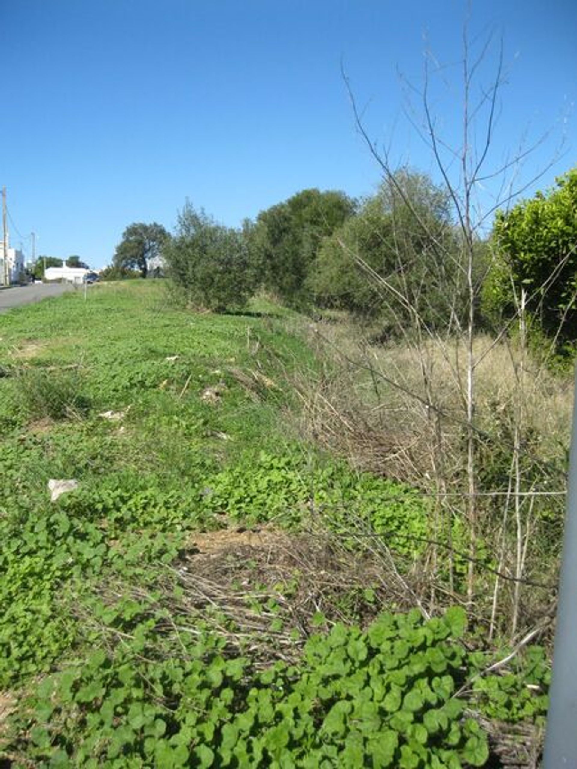 Tierra en Castro Marim, Faraón 11534911