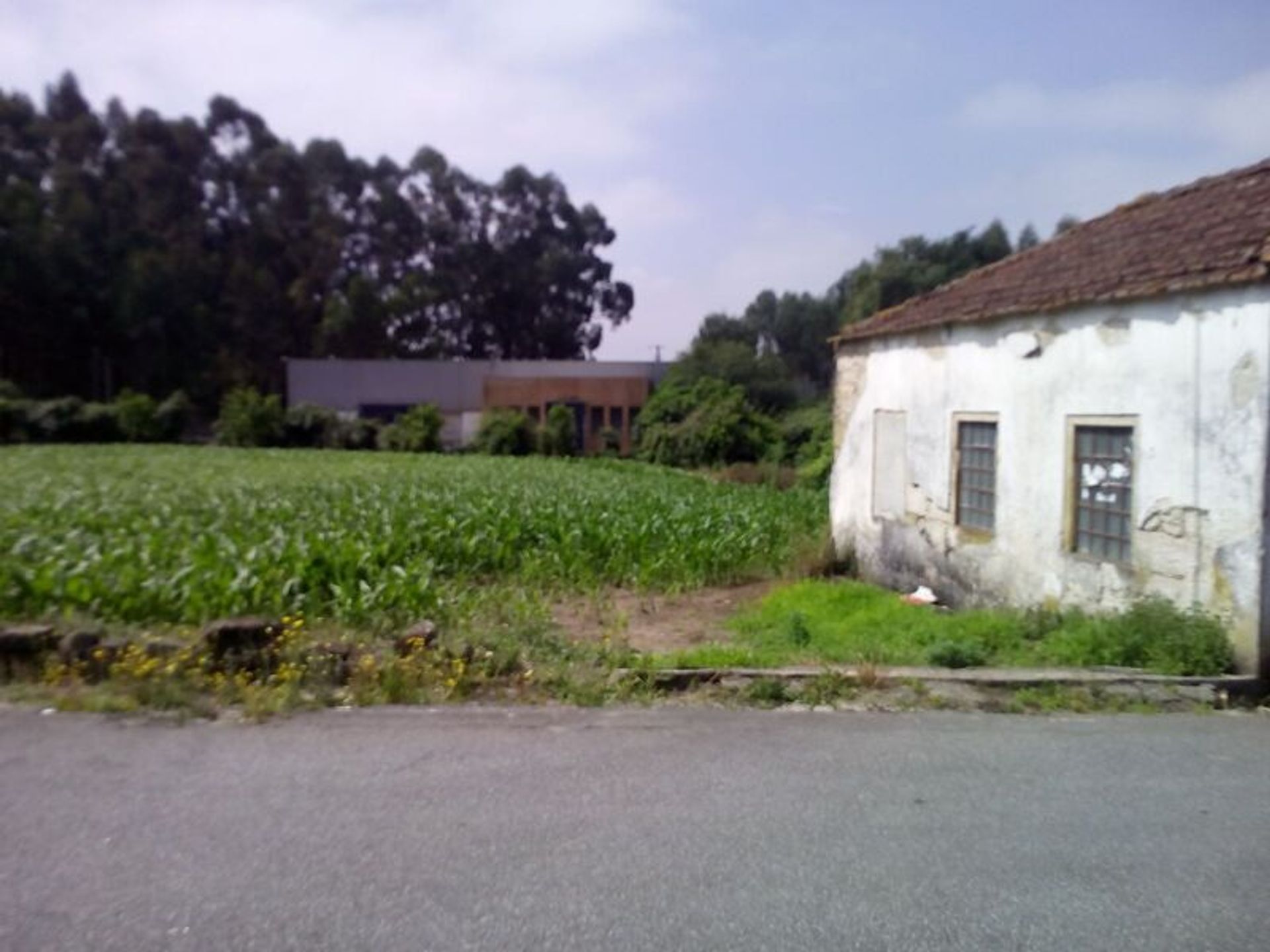 Land in Catasol, Porto 11534912