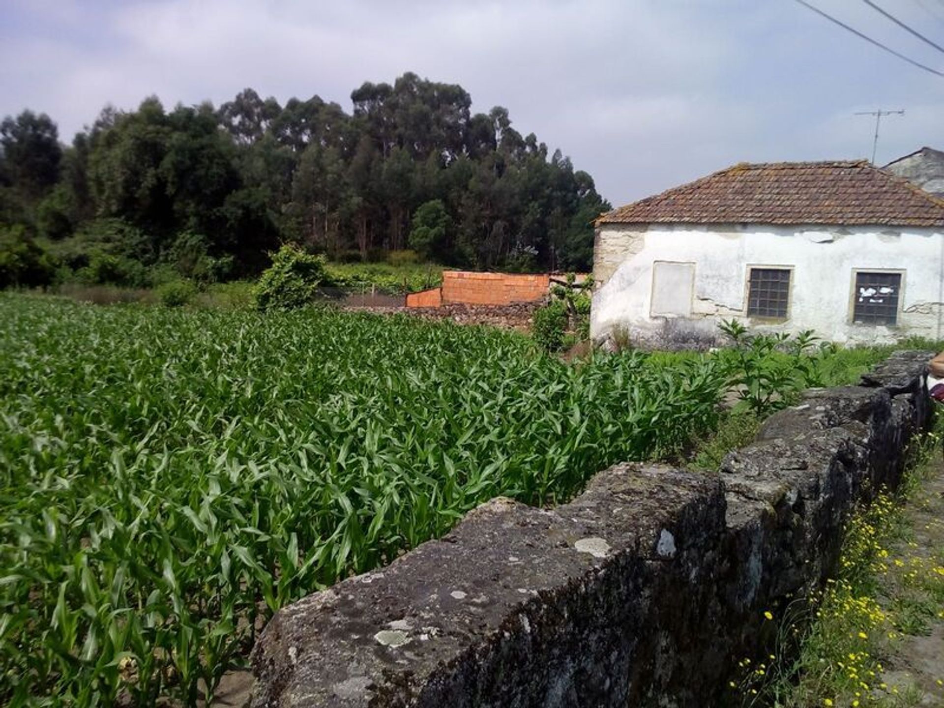 Land in Catasol, Porto 11534912