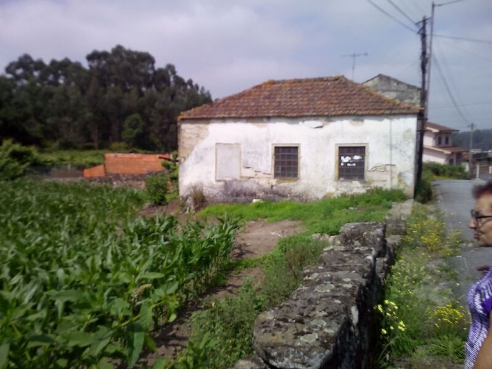 Land i Maia, Porto District 11534912