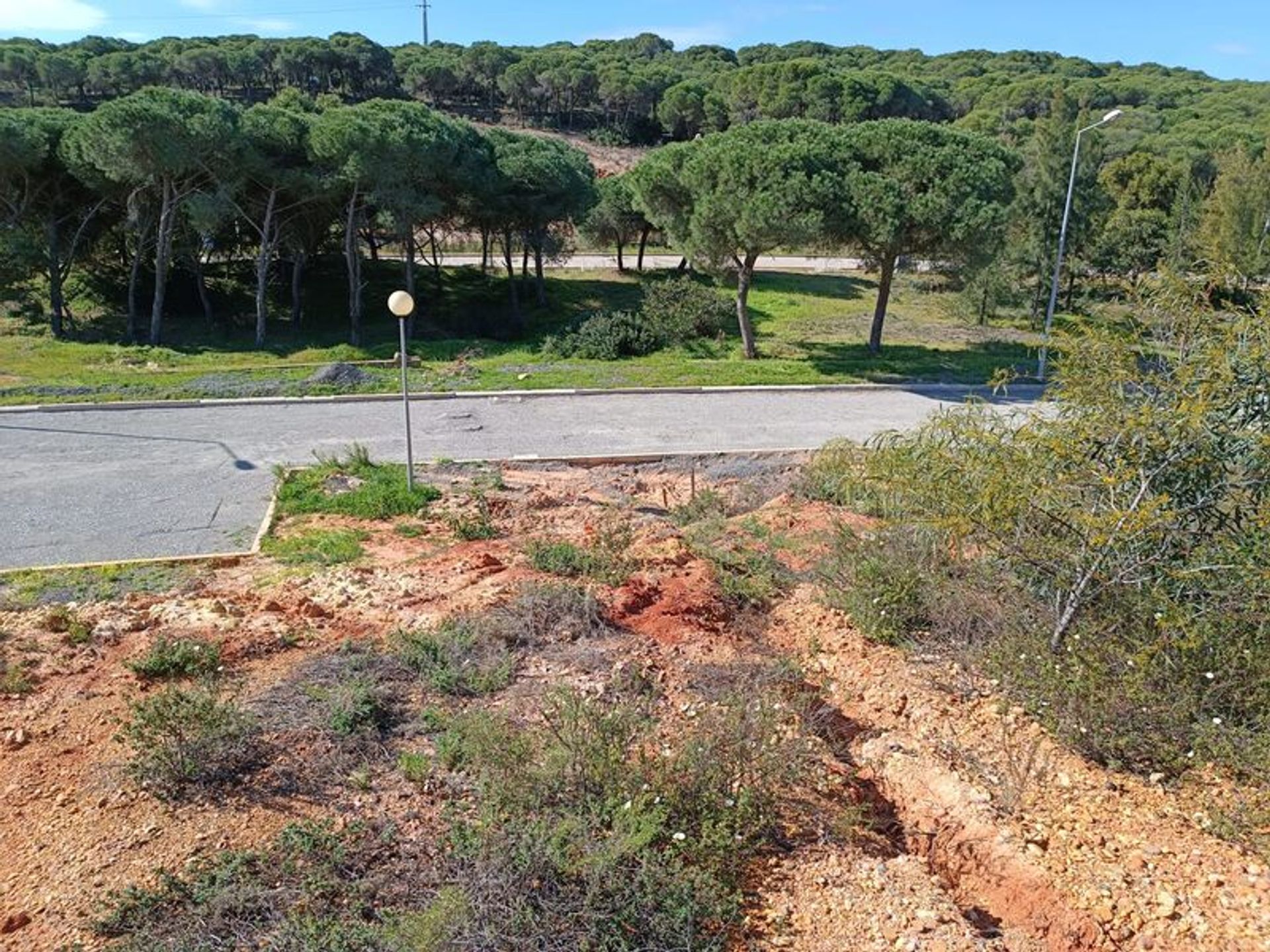 Tierra en Castro Marim, Faraón 11535122