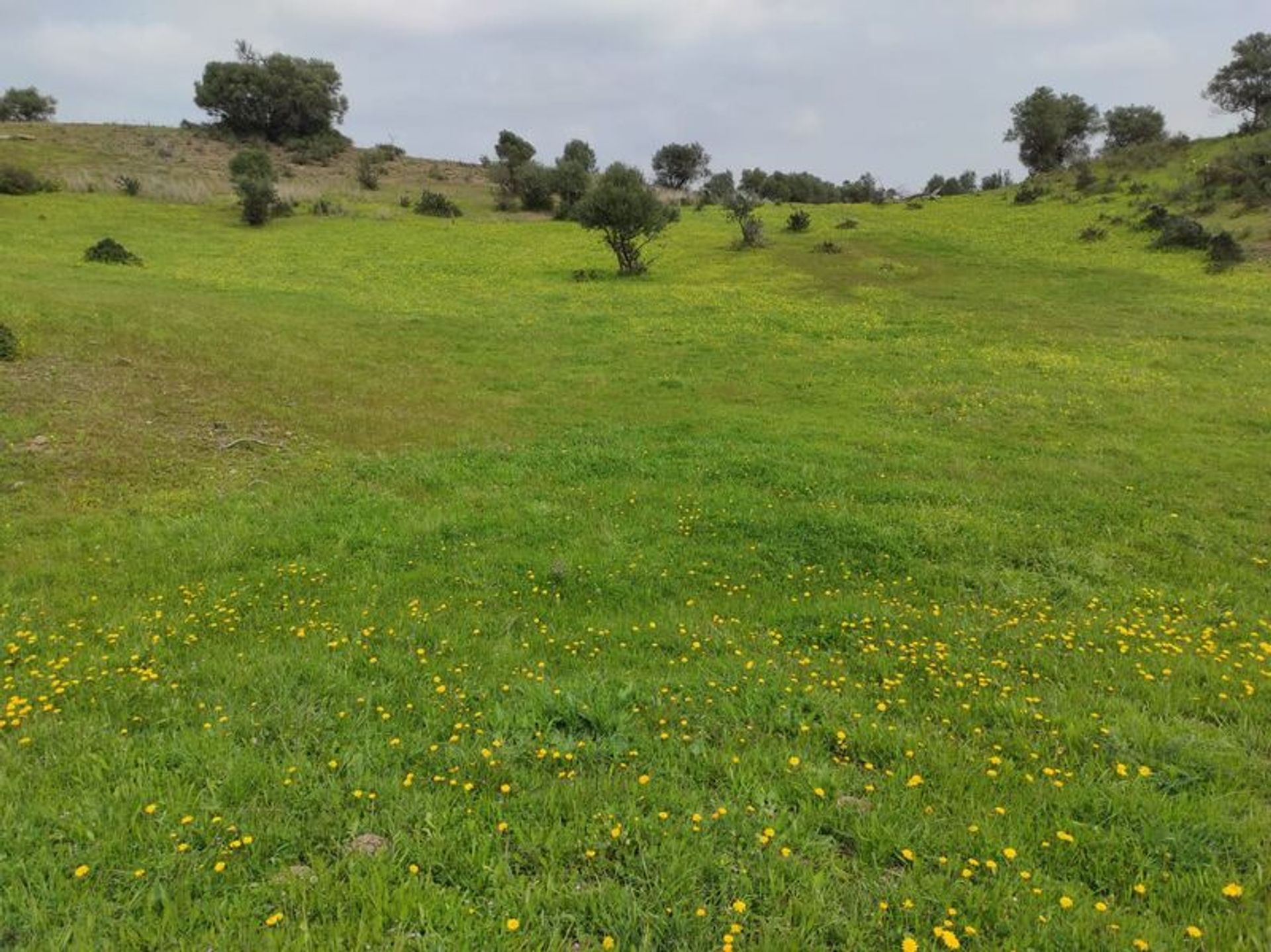 Tierra en Castro Marim, Faraón 11535124