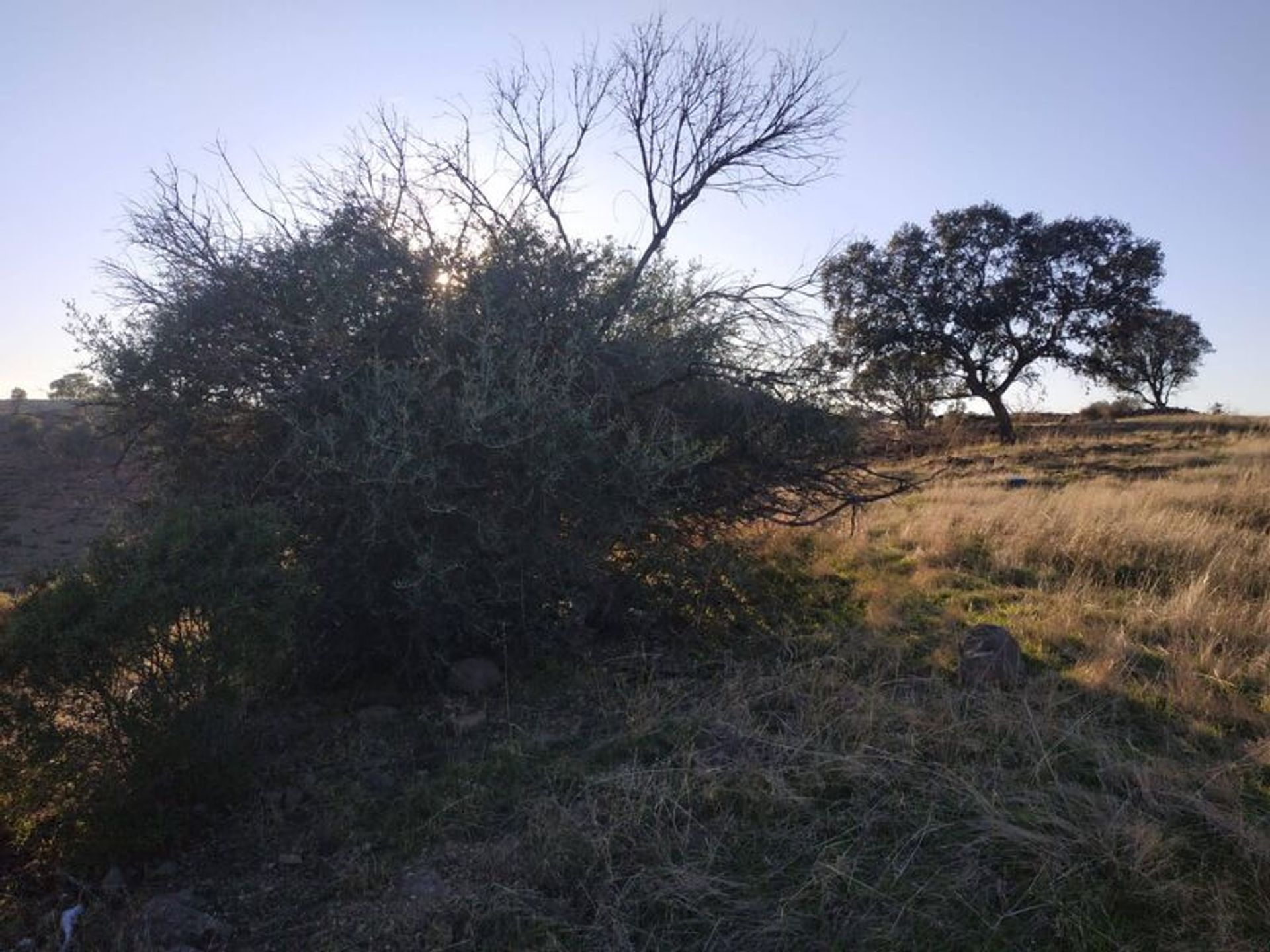 Land in Castro Marim, Faro District 11535128