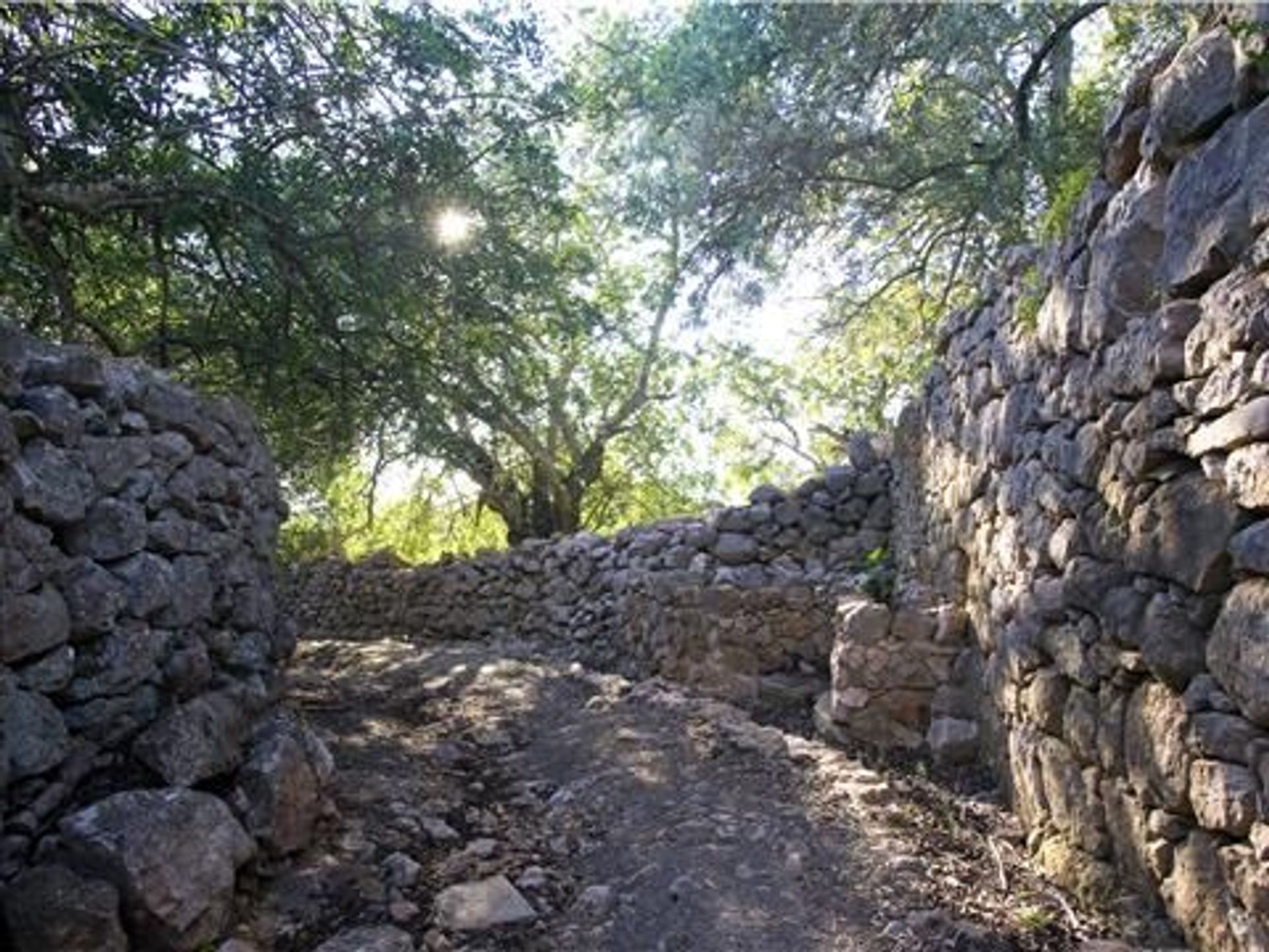 Rumah di São Brás de Alportel, Faro District 11535135