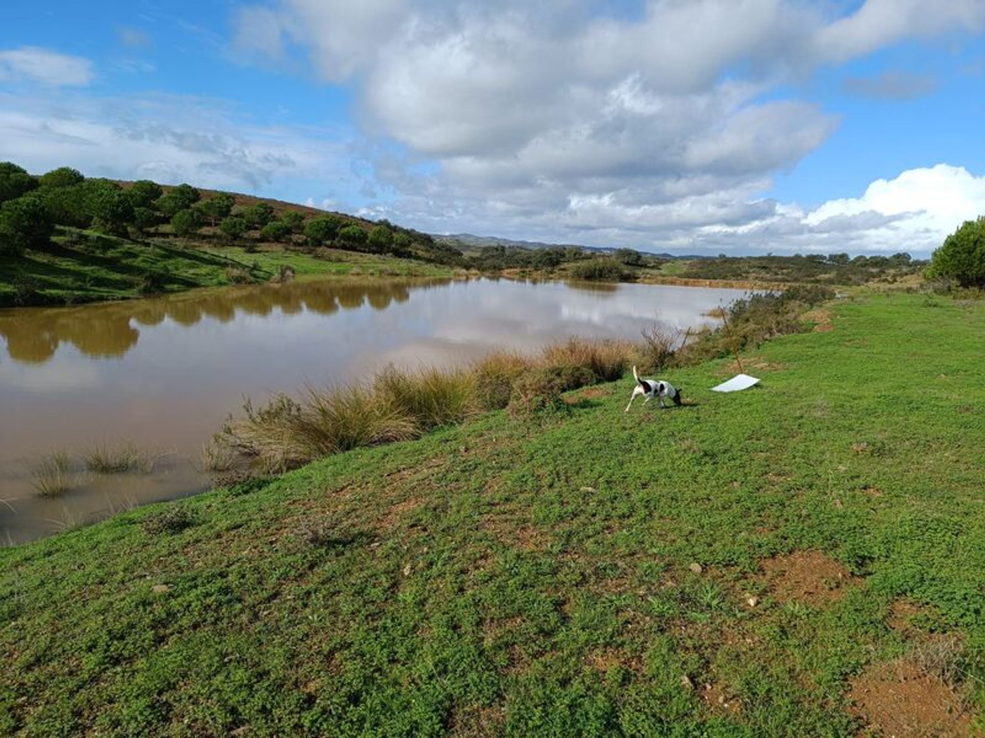 Tierra en Castro Marim, Faraón 11535147