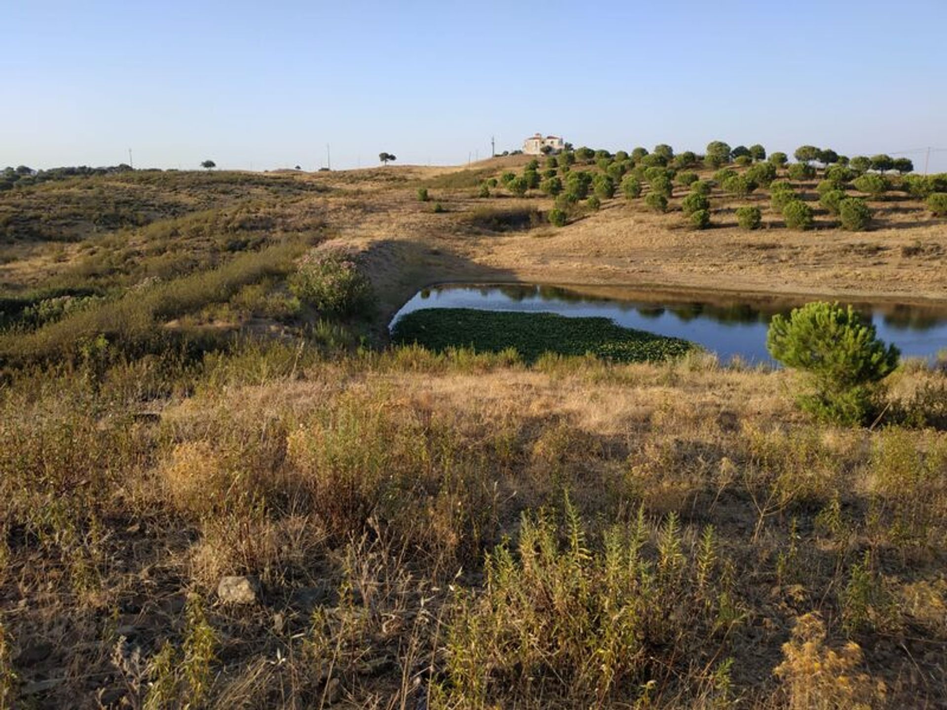 Land in Castro Marim, Faro District 11535147