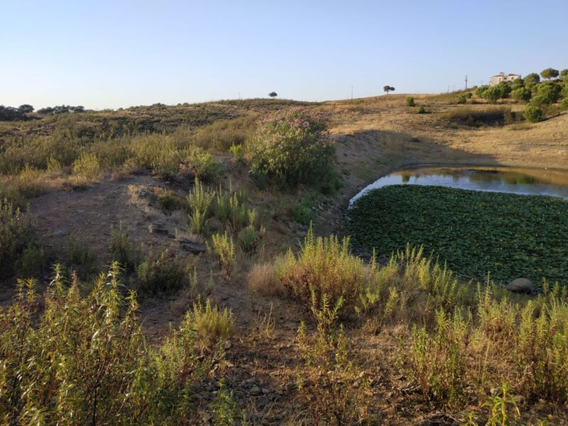 Terre dans Castro Marim, Faro District 11535147