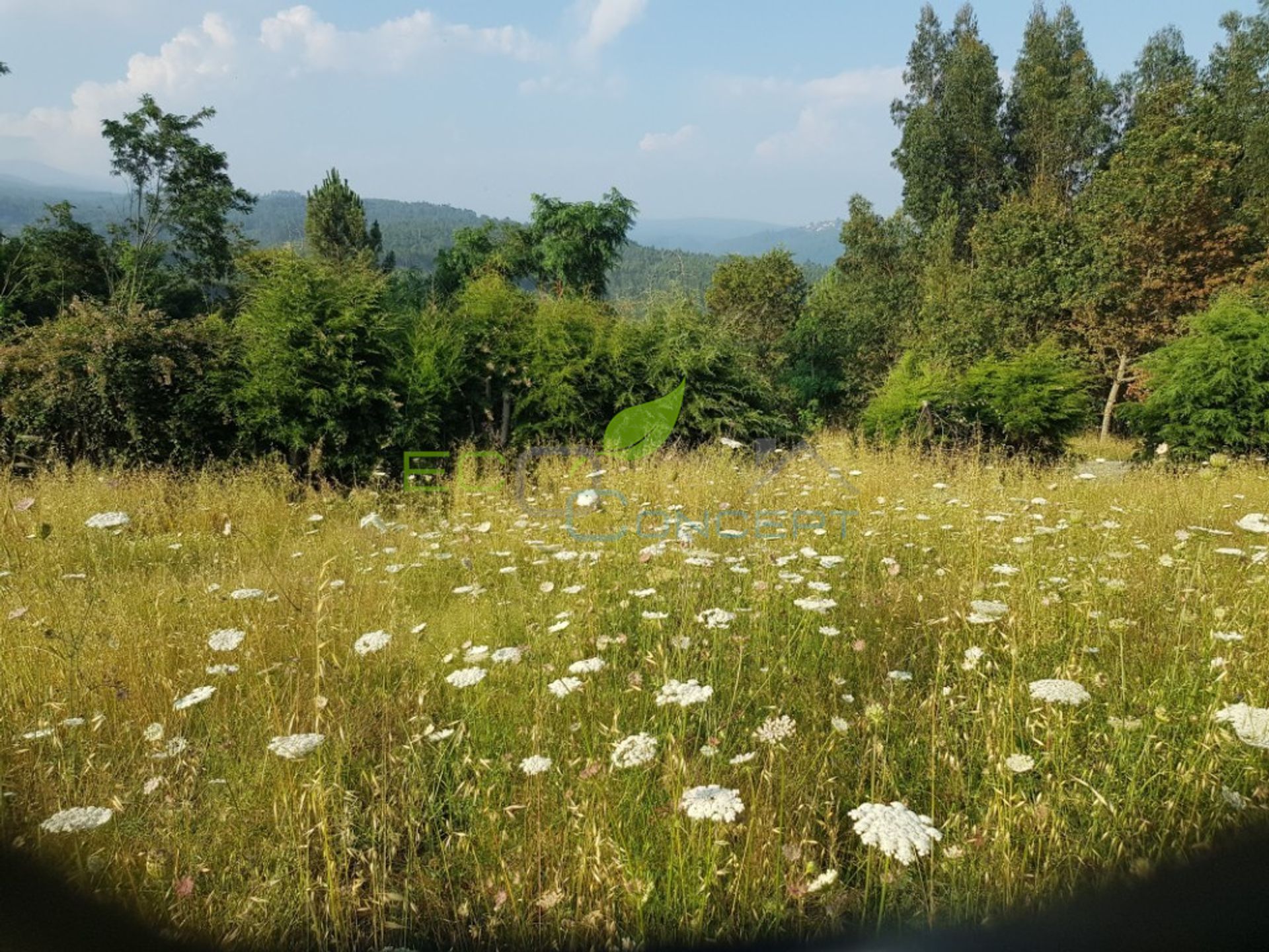 Tierra en Bordonhos, Viseu 11535148