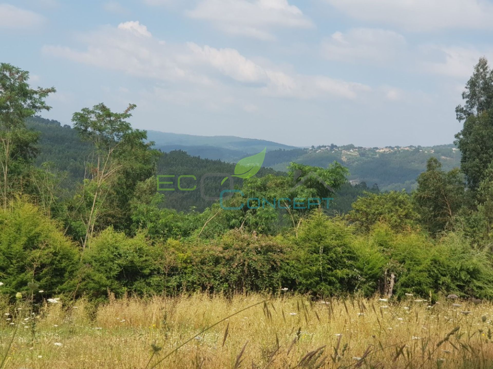 Land in Bordonhos, Viseu 11535148