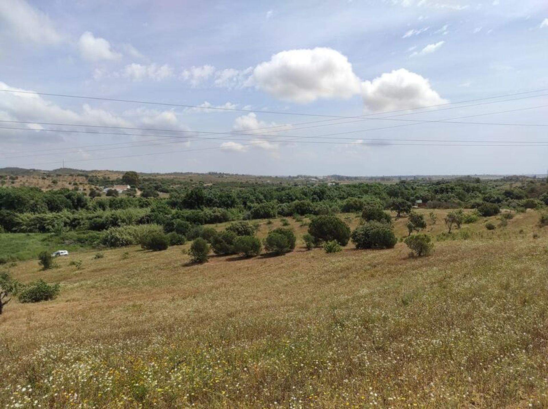 Tierra en Castro Marim, Faraón 11535153