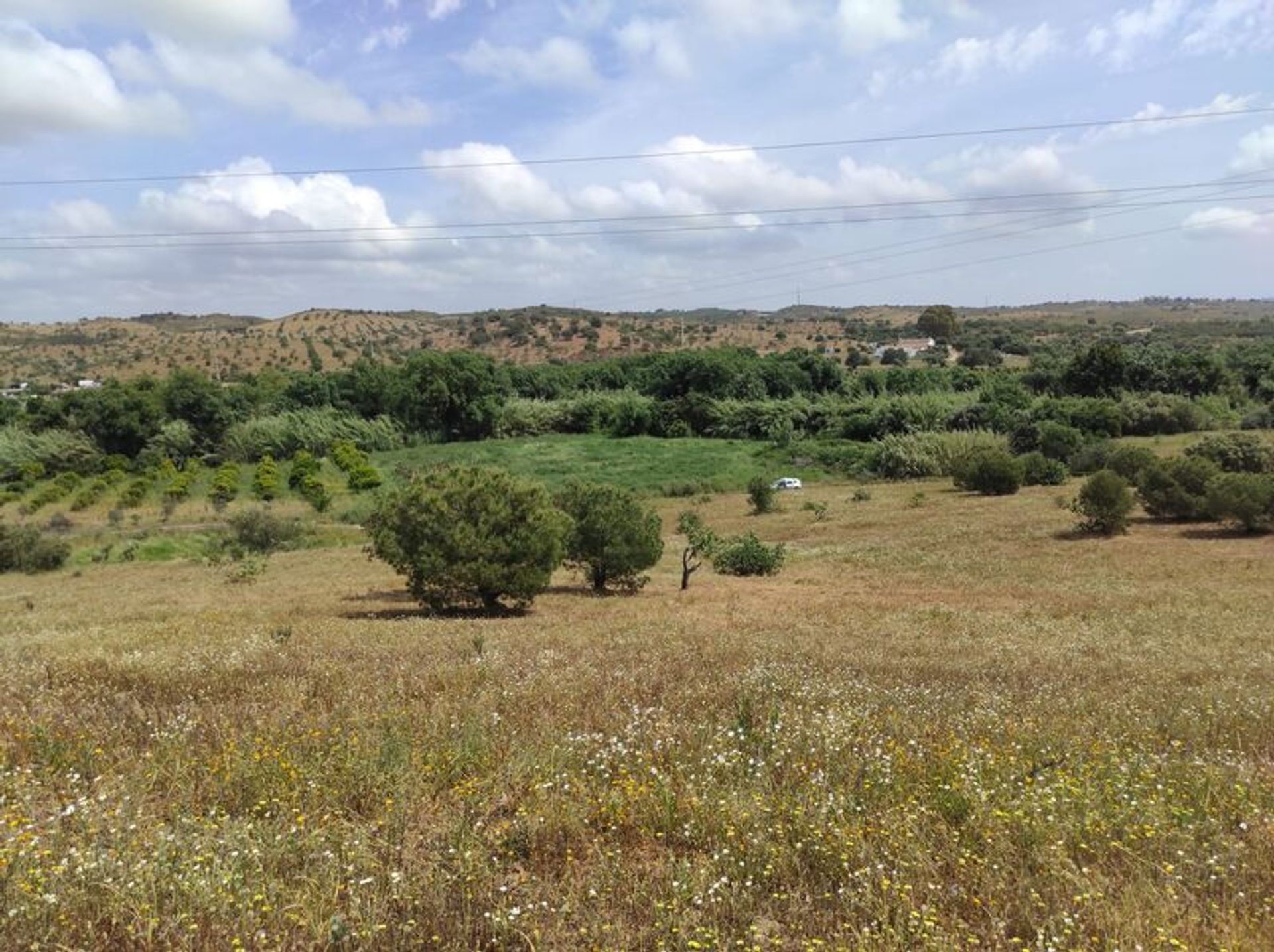 Tierra en Castro Marim, Faraón 11535153