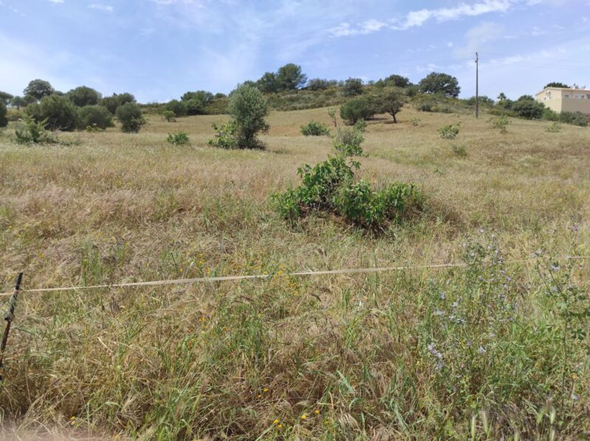 Tierra en Castro Marim, Faraón 11535153